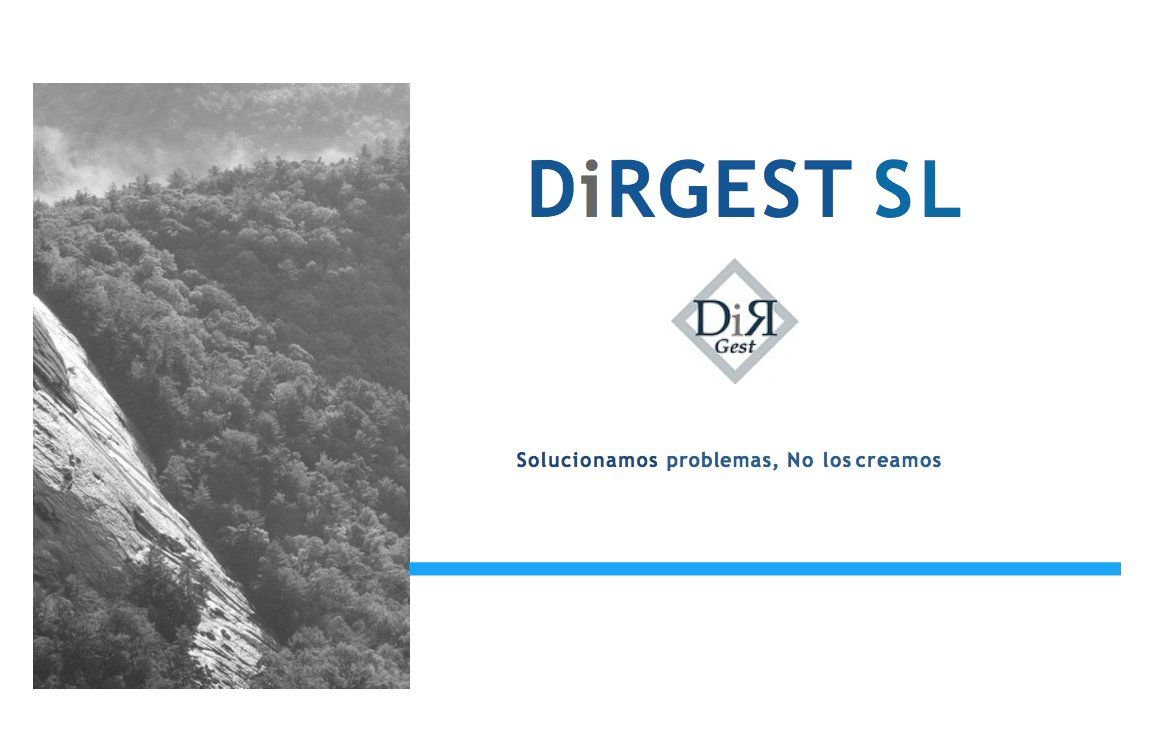 Una imatge promocional de DIRGest.