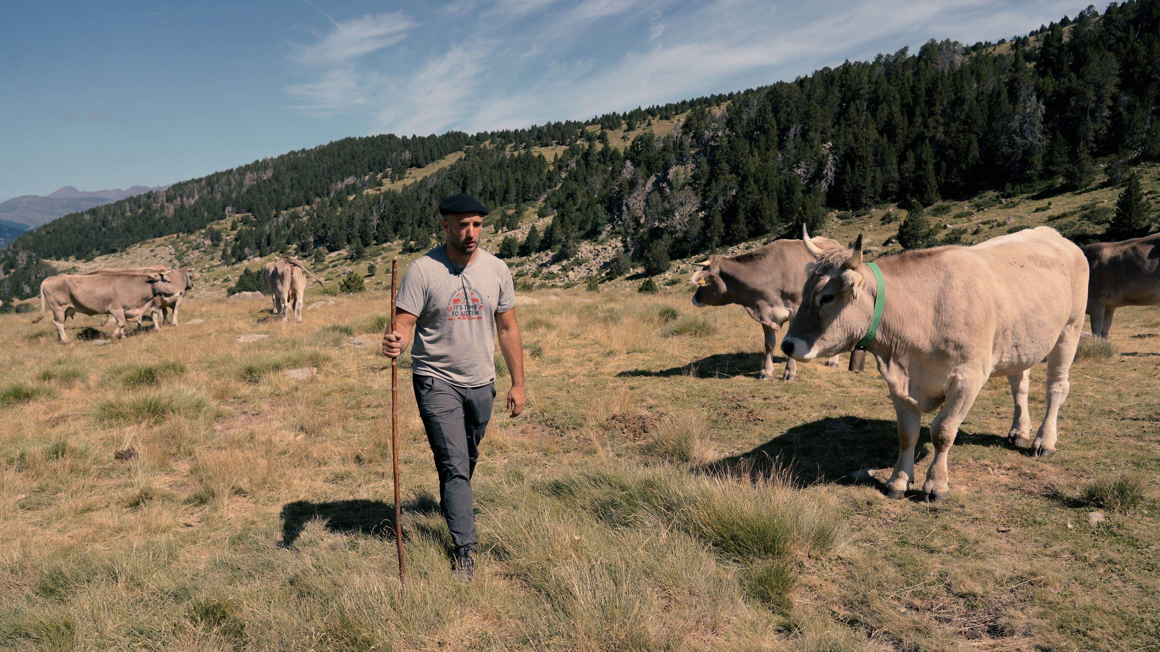  El vaquer de la Vall del Madriu, Gerard Fernández.