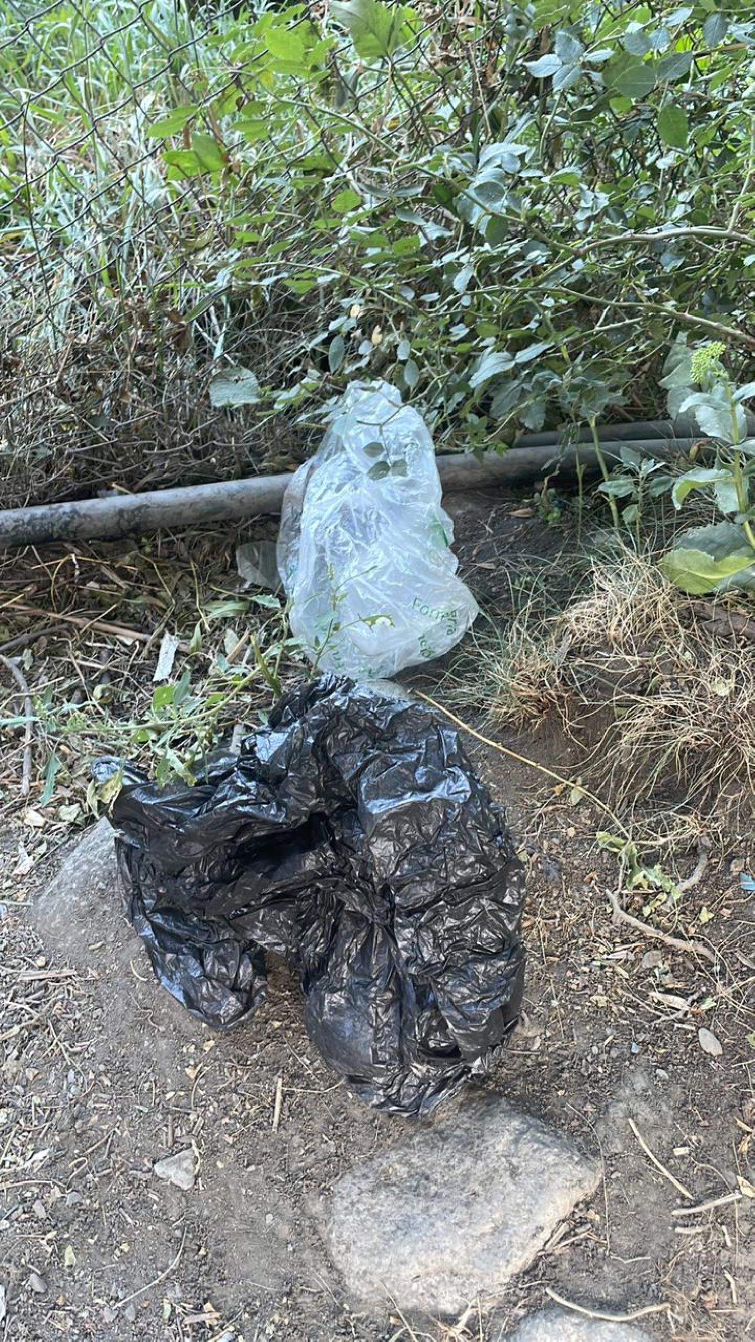 Restes de botellot aparegudes dimarts al matí a les Bons.