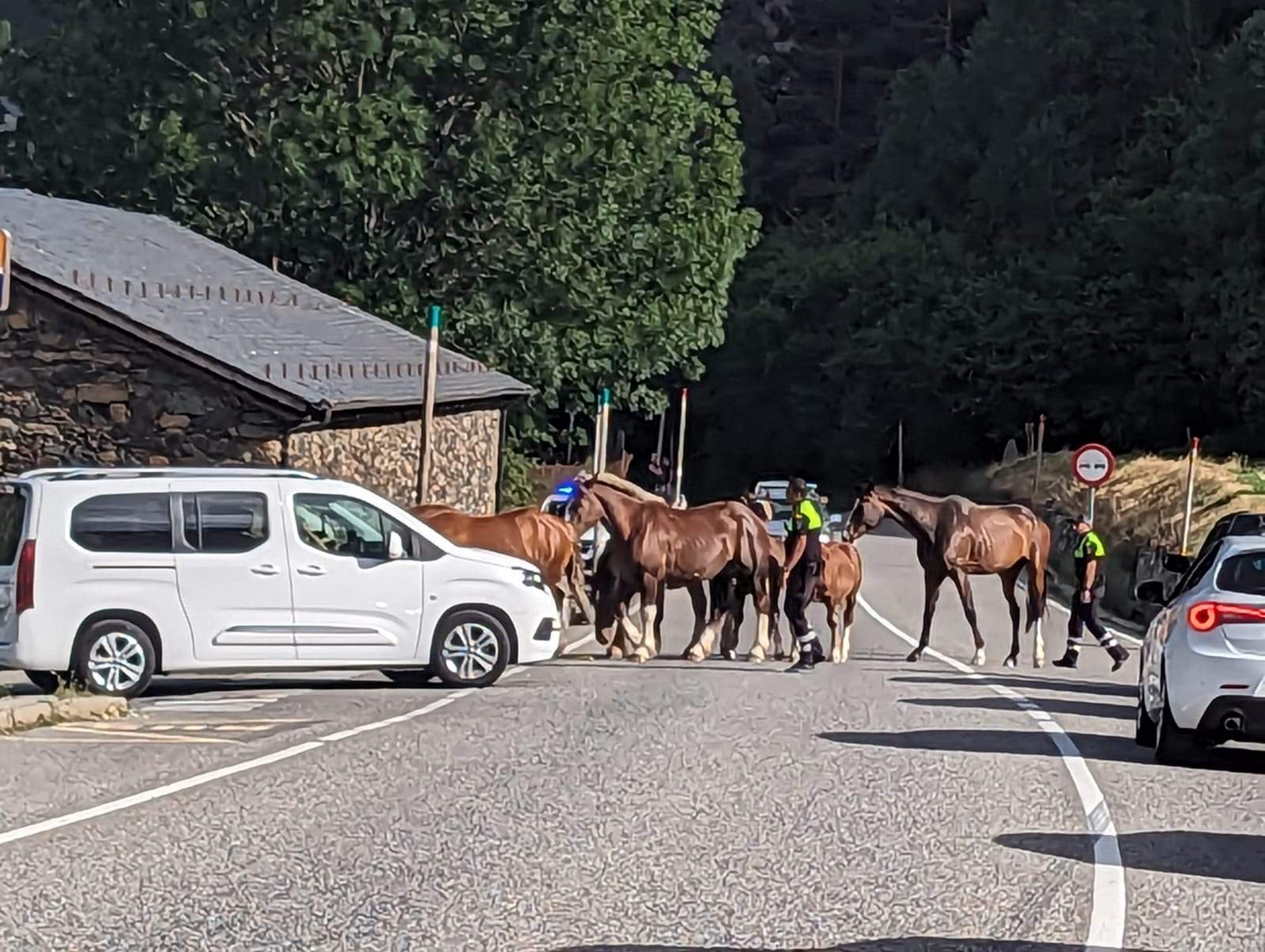 Els urbans intentant treure els cavalls de la via.