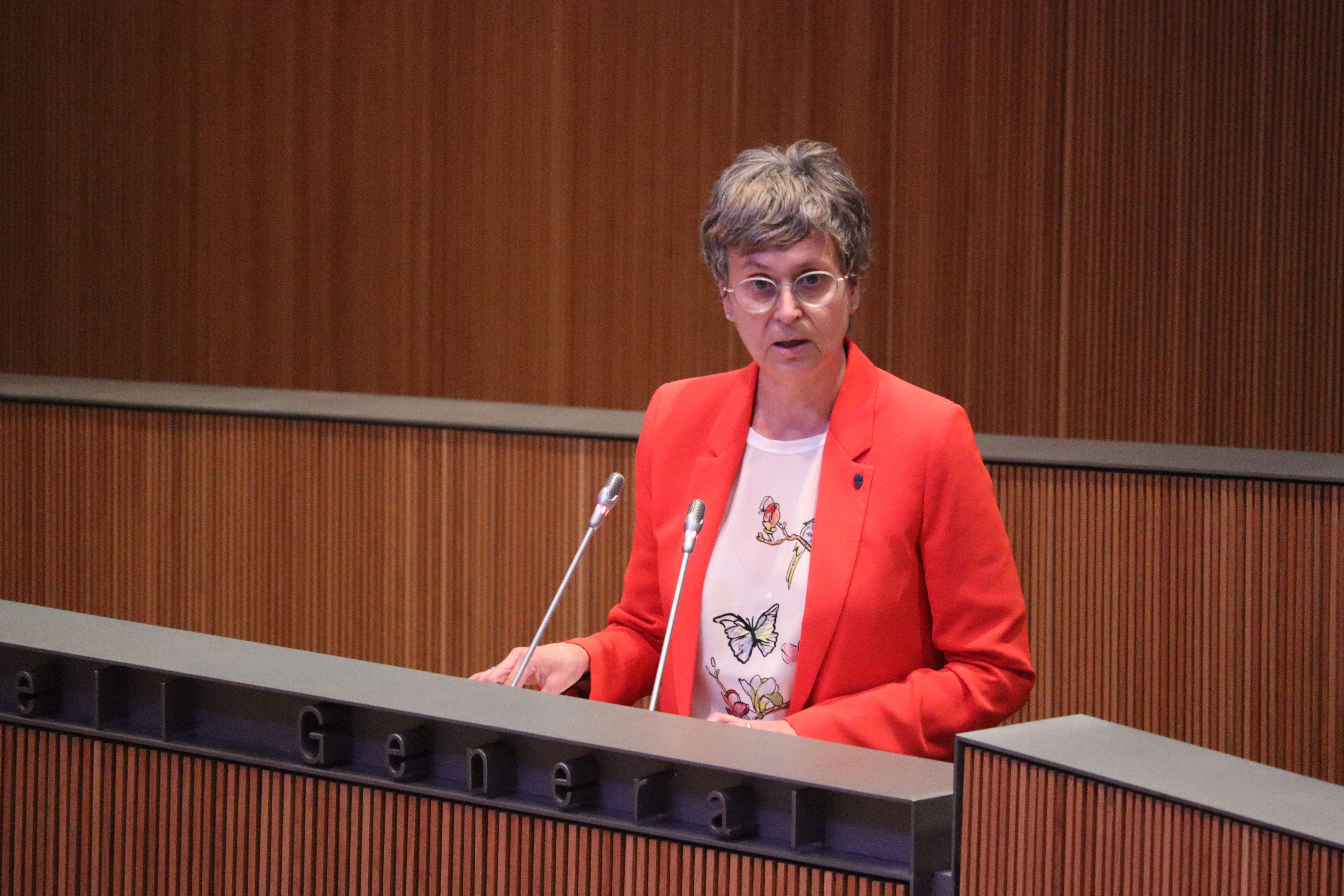 Susanna Vela en una intervenció al Consell General