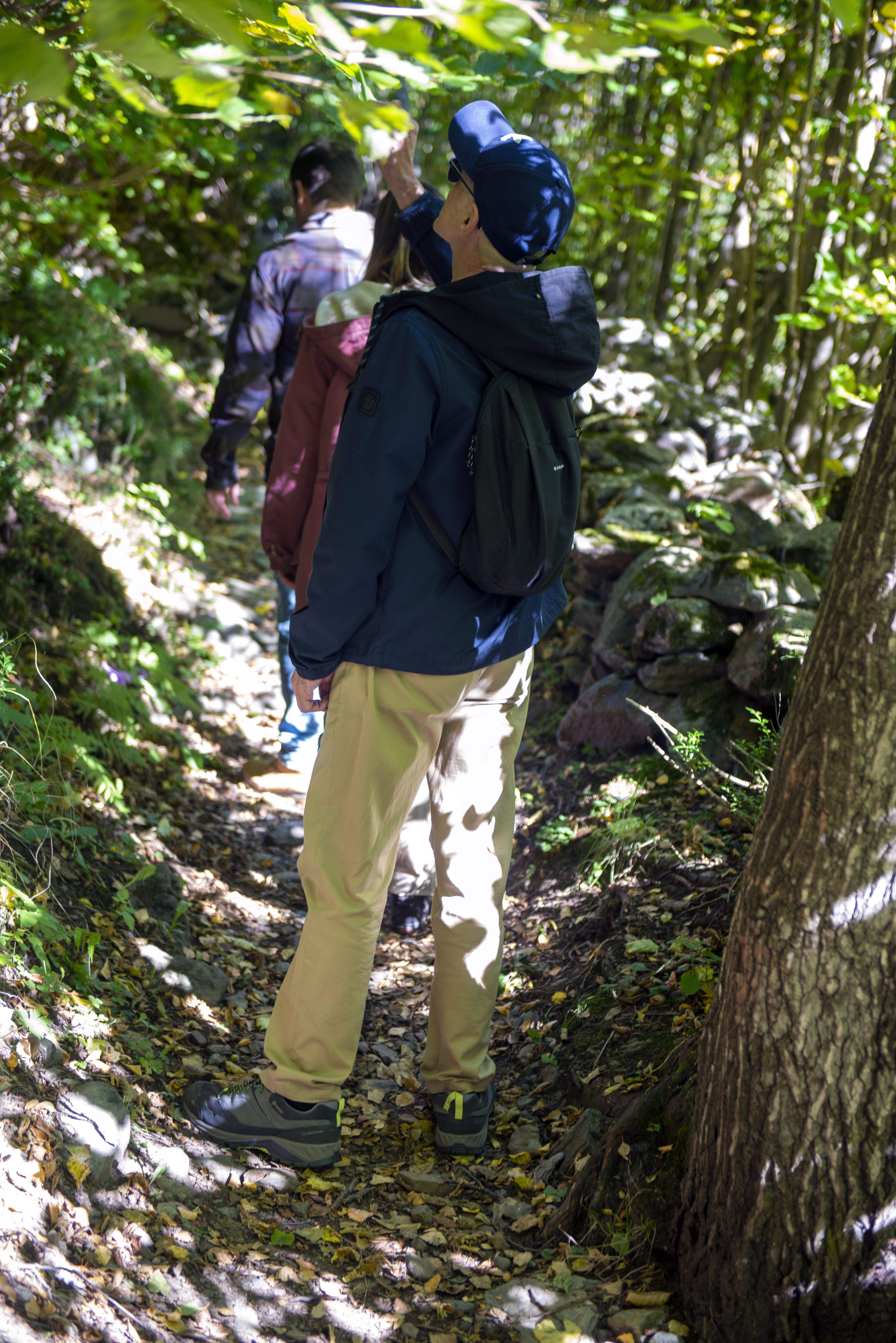 Un instant d'una sessió de bany de bosc.