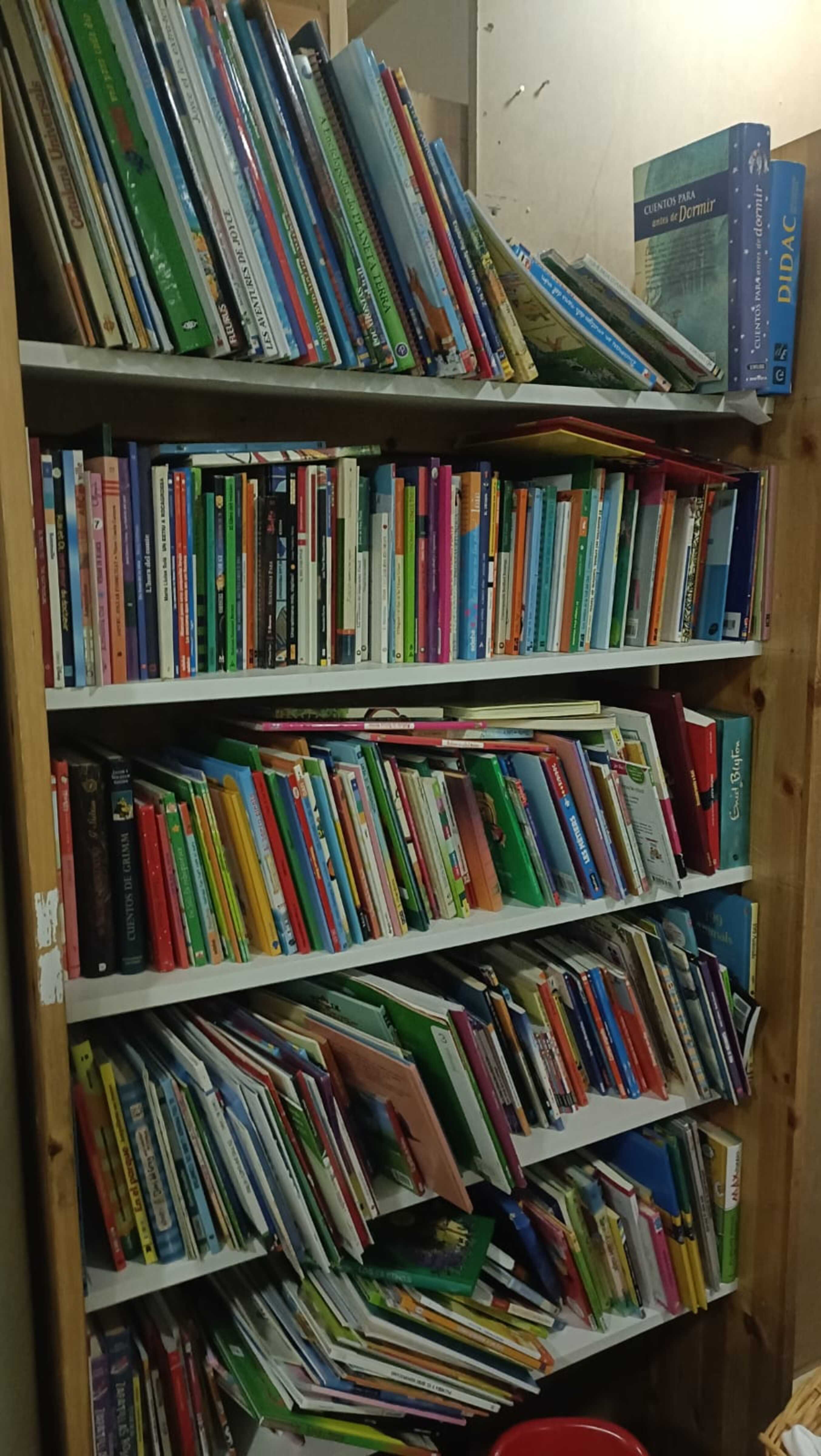 Alguns dels llibres que queden a la botiga.