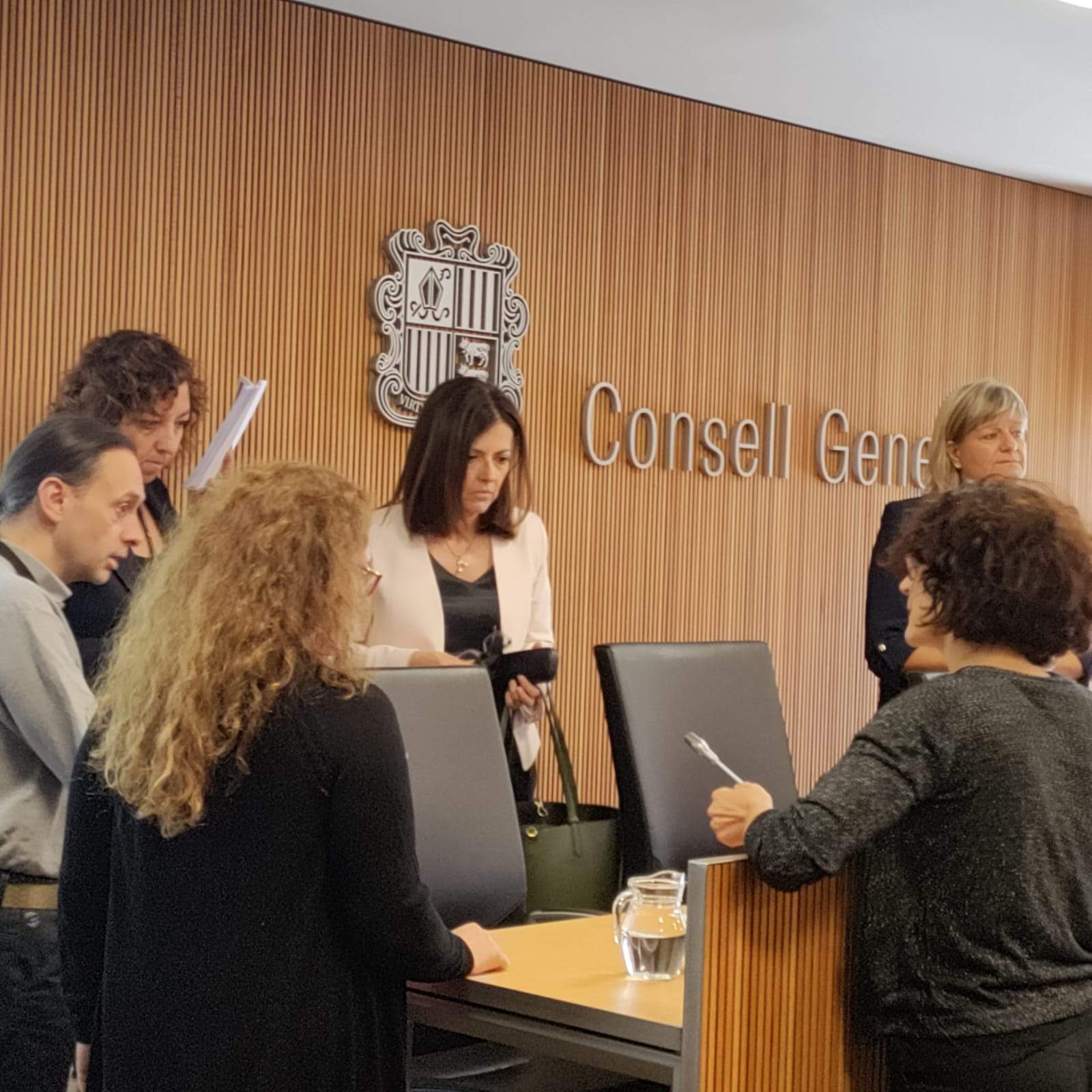 Imma Tor abans de la seva compereixença d'aquest divendres a la comissió legislativa.