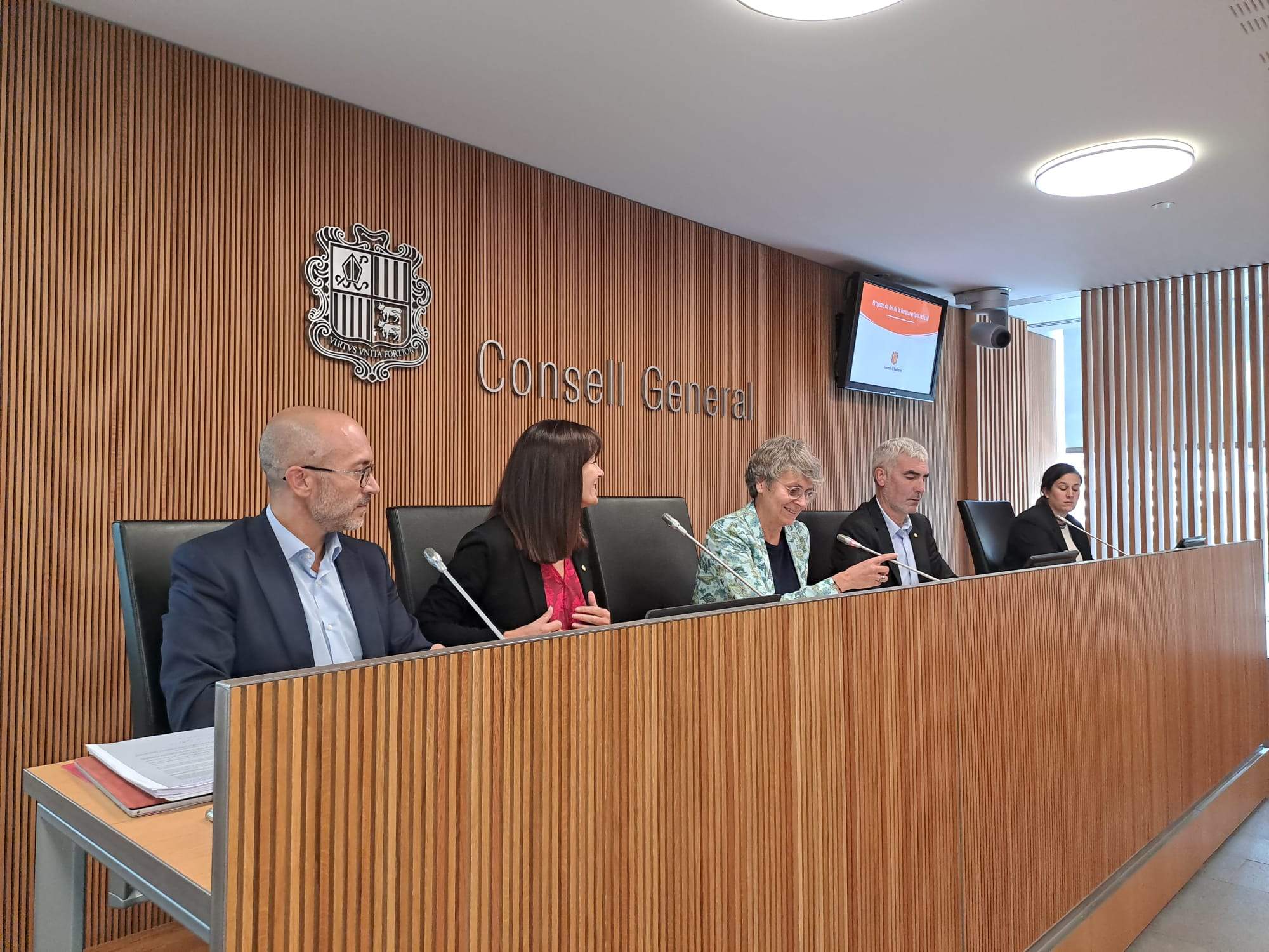 Bonell ha comparegut a la comissió legislativa del Consell General.