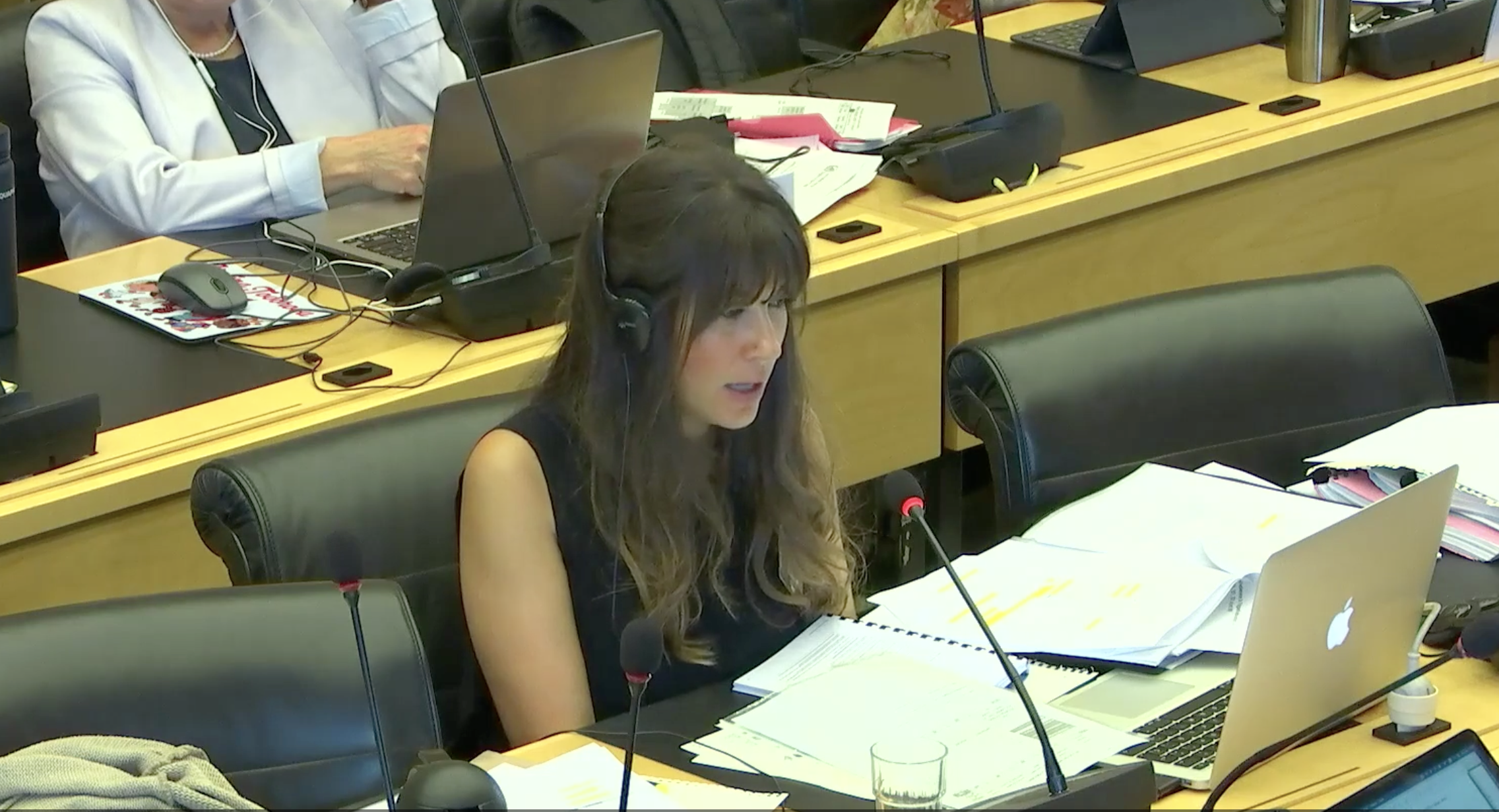 Elisabeth Puente durant la seva intervenció.