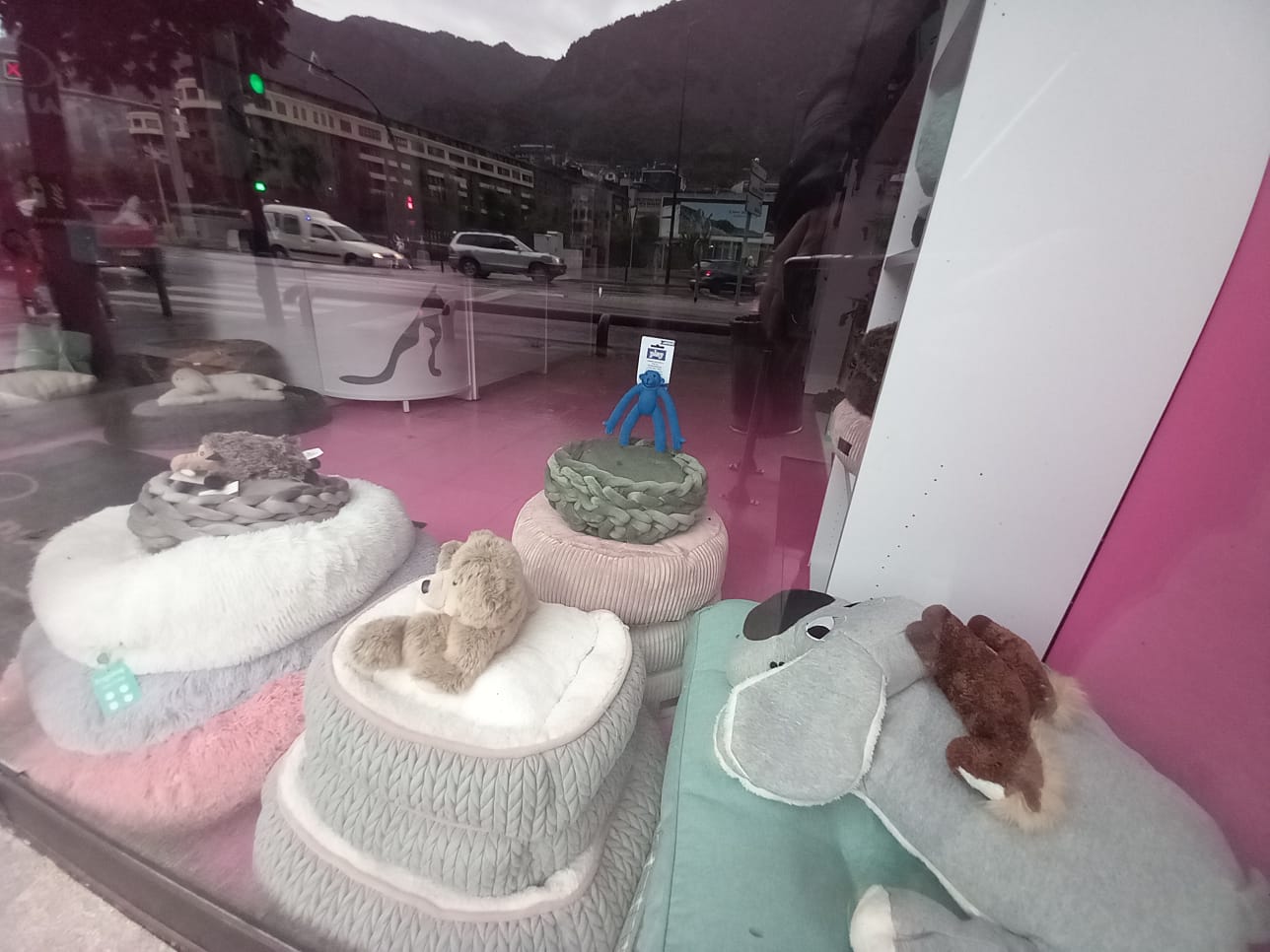 La botiga ha estat tancada aquest dijous, però els darrers temps tampoc no ha tingut un horari molt regular.