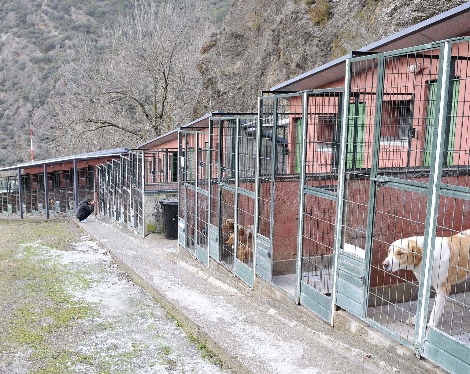 Una imatge de la gossera.