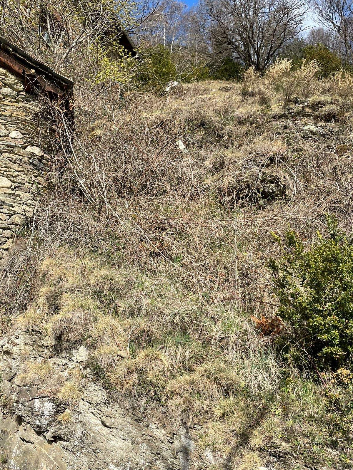 El tros de terreny que es voldria subhastar.