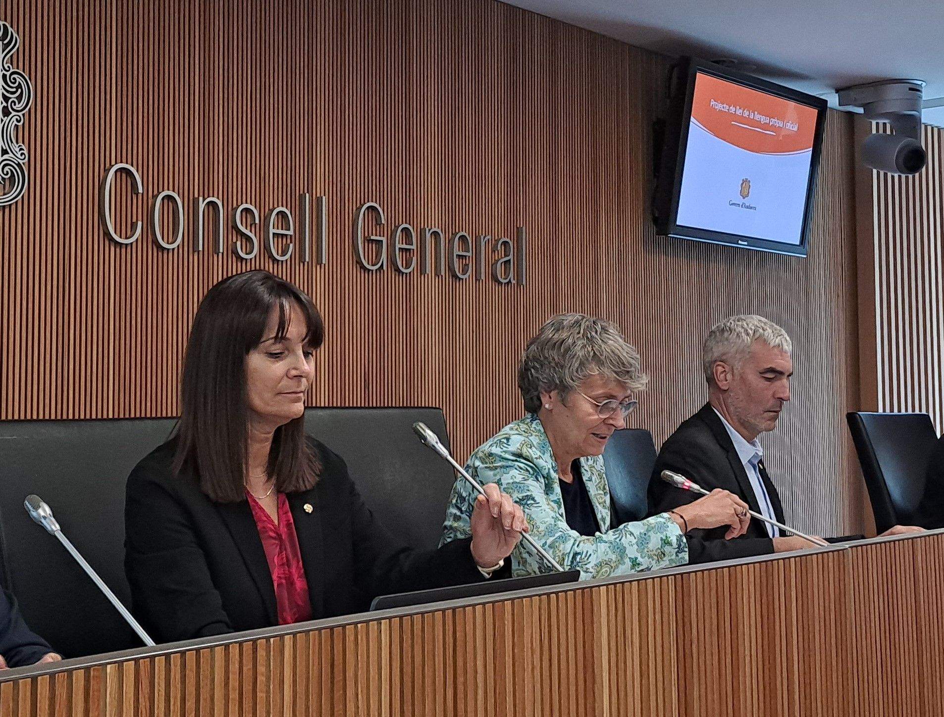 Bonell, durant la presentació de la llei al Consell General.