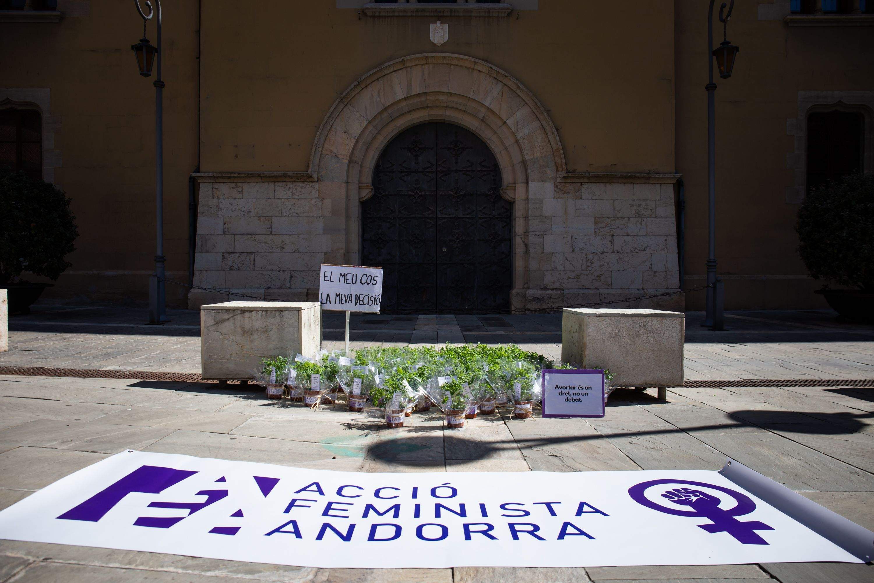 Una acció reivindicativa d'Acció Feminista a les portes del Palau Episcopal de la Seu.