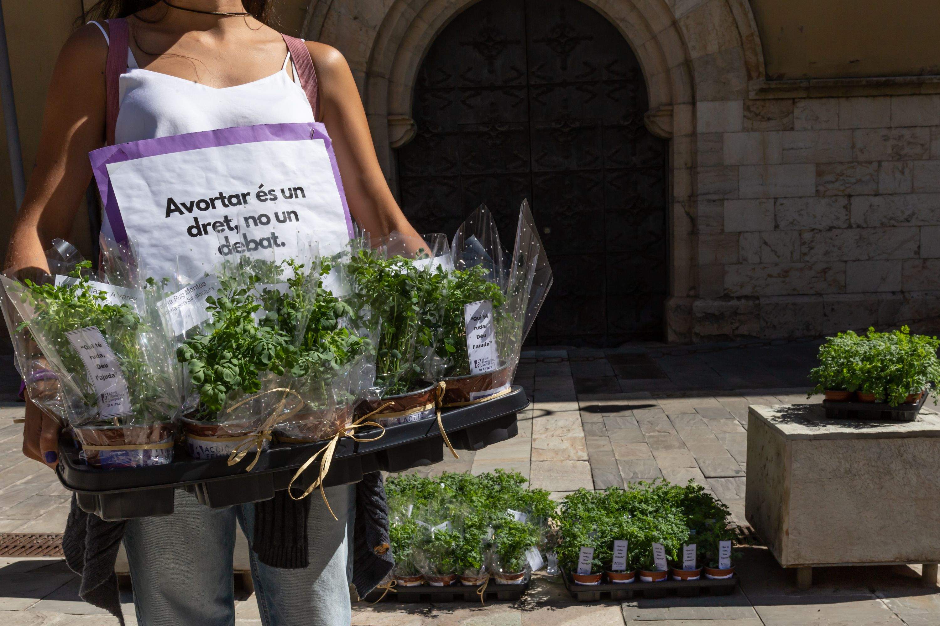 Campanya d'Acció Feminista.