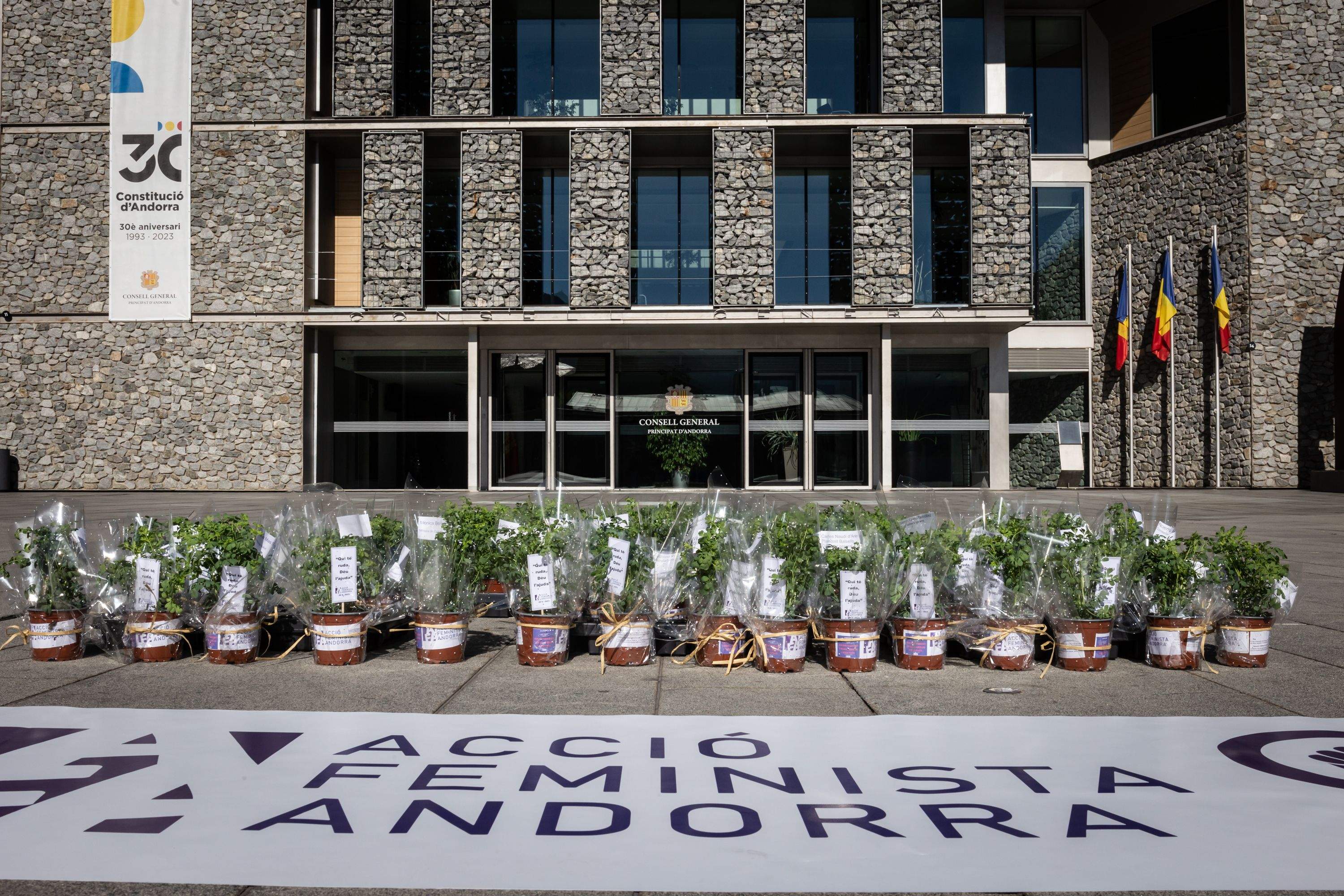 Campanya d'Acció Feminista davant del Consell General.