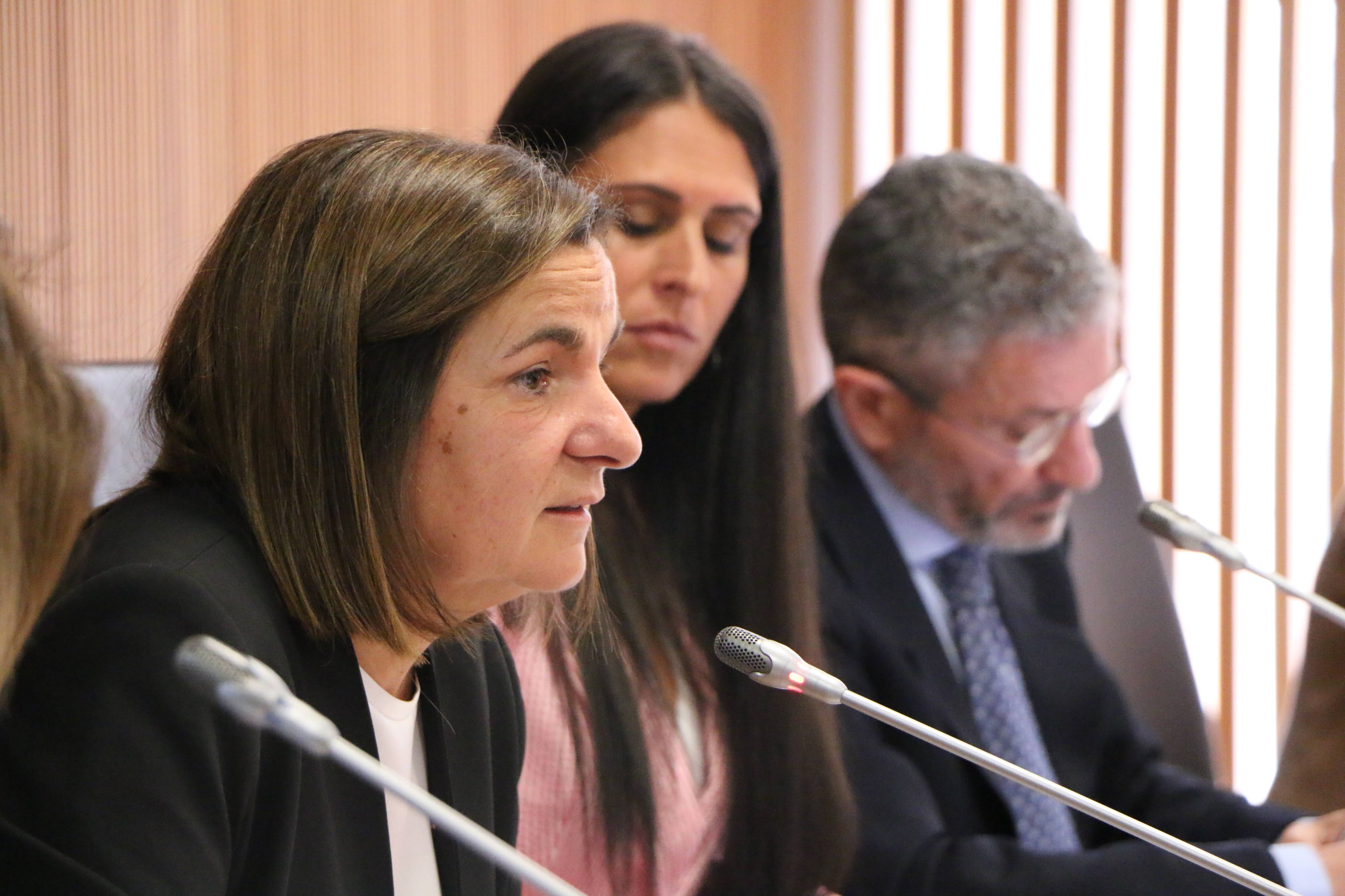 Trini Marín, aquest matí al Consell General.