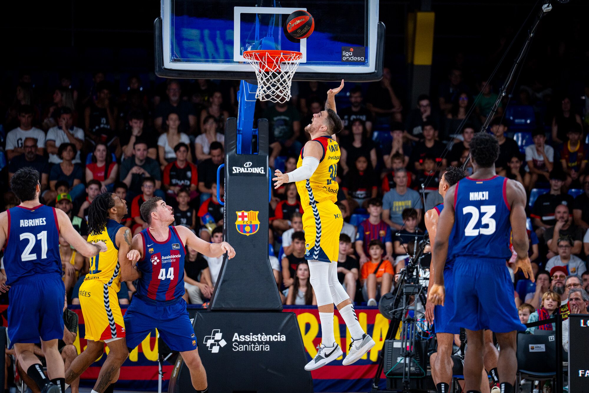 Cistella de Marin Maric, un dels referents tricolors al Palau Blaugrana.
