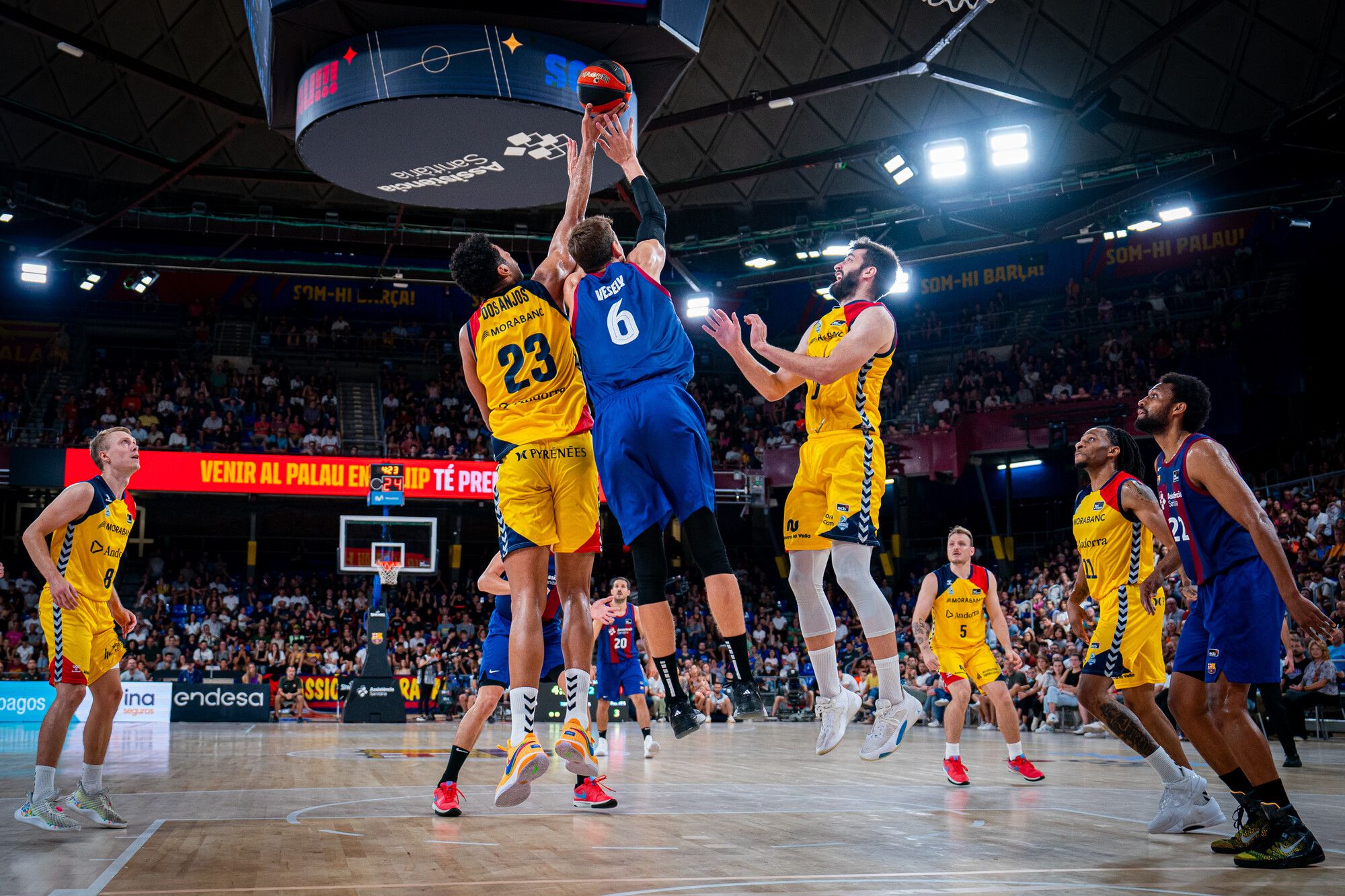 Lluita sota les cistelles entre Vesely i Dos Anjos. Lluita sota les cistelles entre Vesely i Dos Anjos.