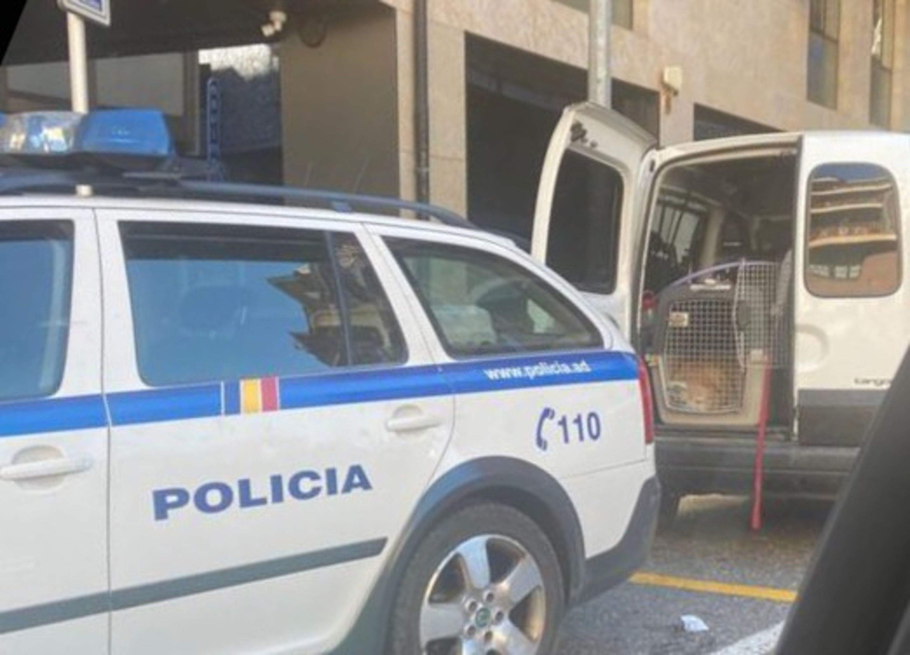 Un cotxe policial al costat de la furgoneta 'sospitosa'.