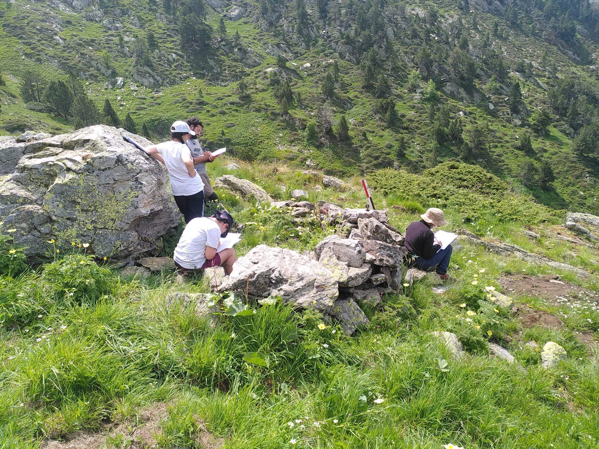 Documentacio Ordino 10 2023 1