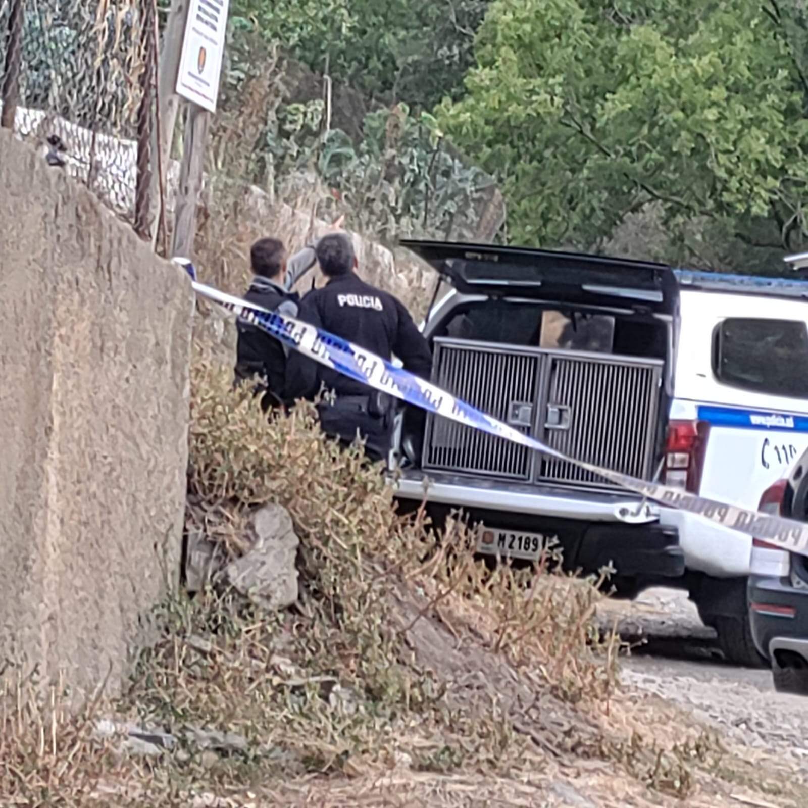 Els policies han usat gossos per mirar de trobar el conductor.