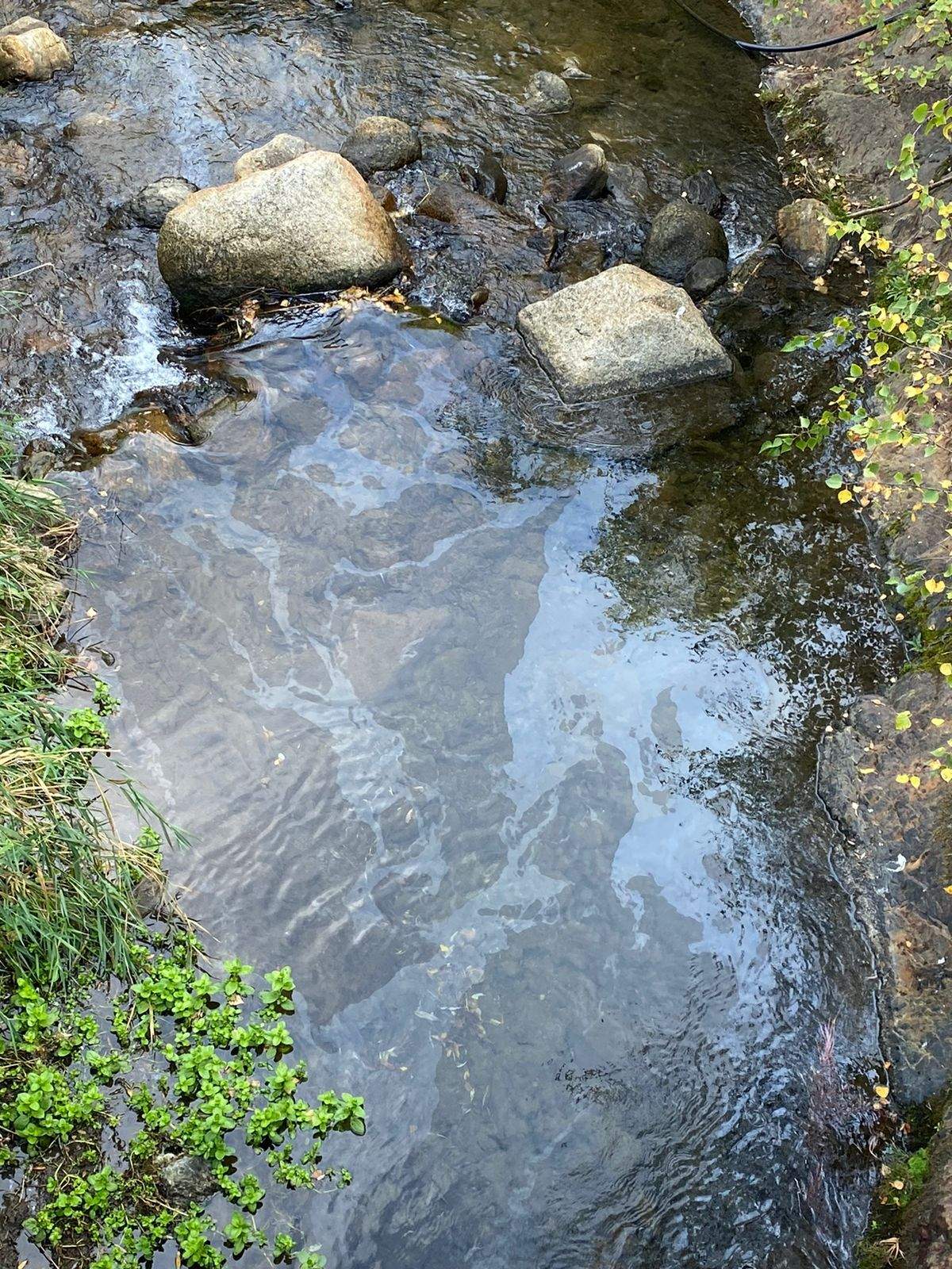 WhatsApp Image 2023 10 17 at 13.39.24 (1)