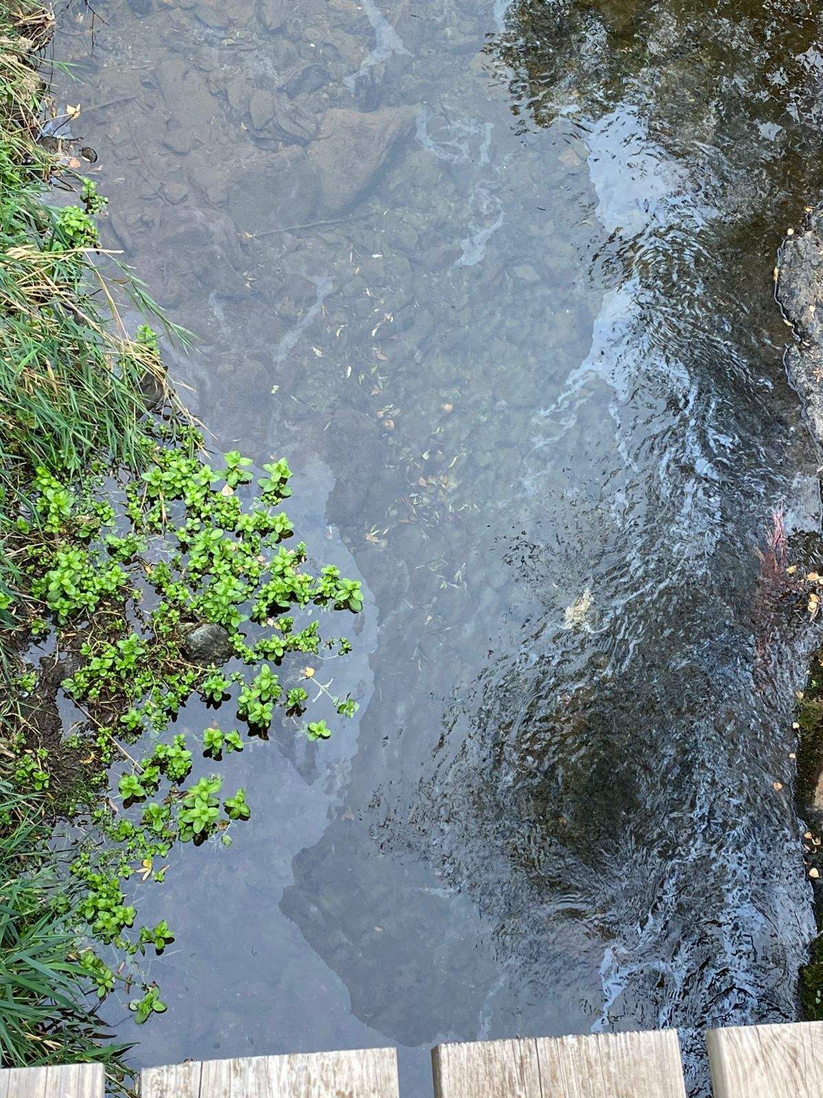 Imatge del vessament al riu d'Os.