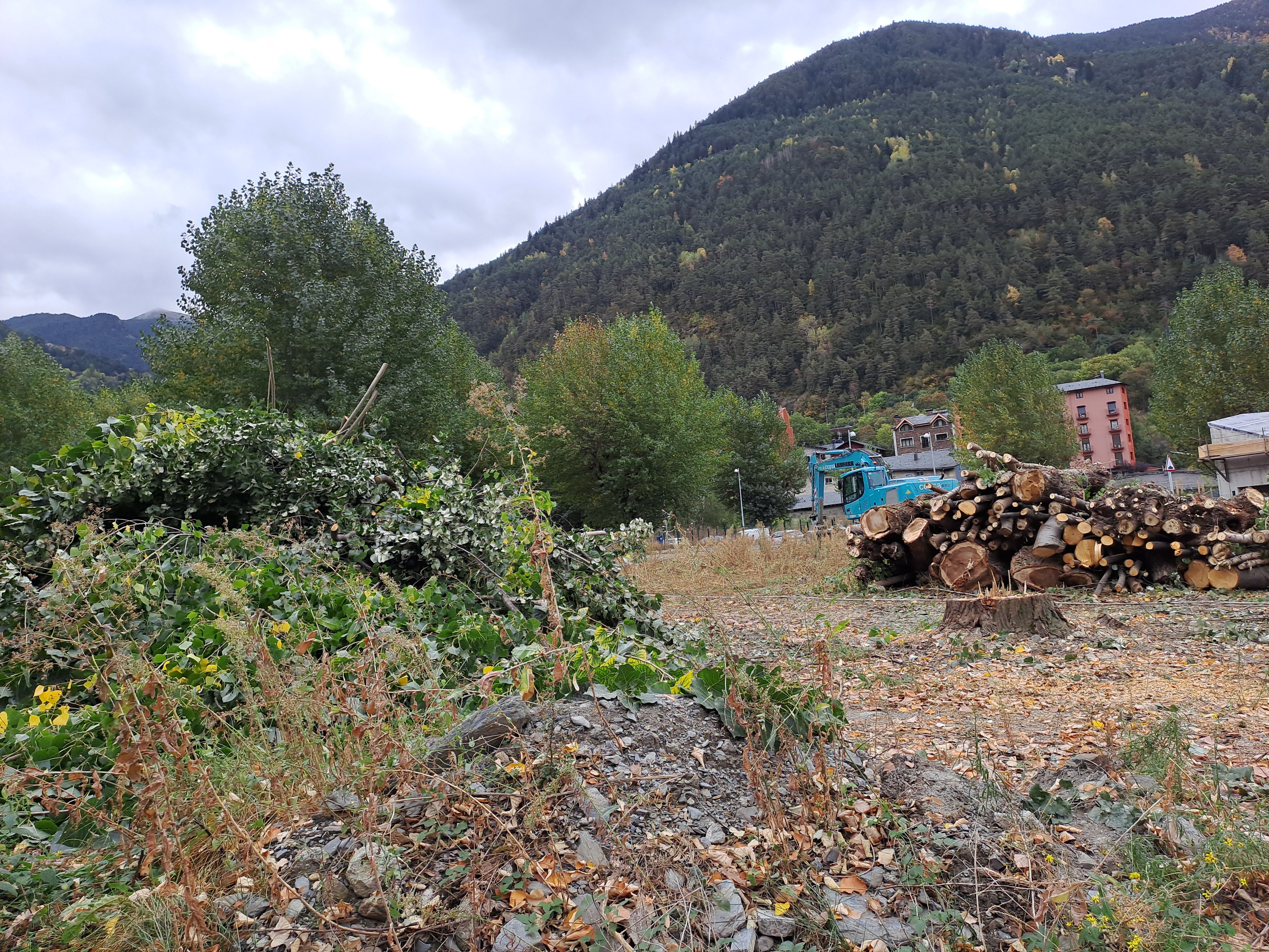 20231019 110750 20231019 110750