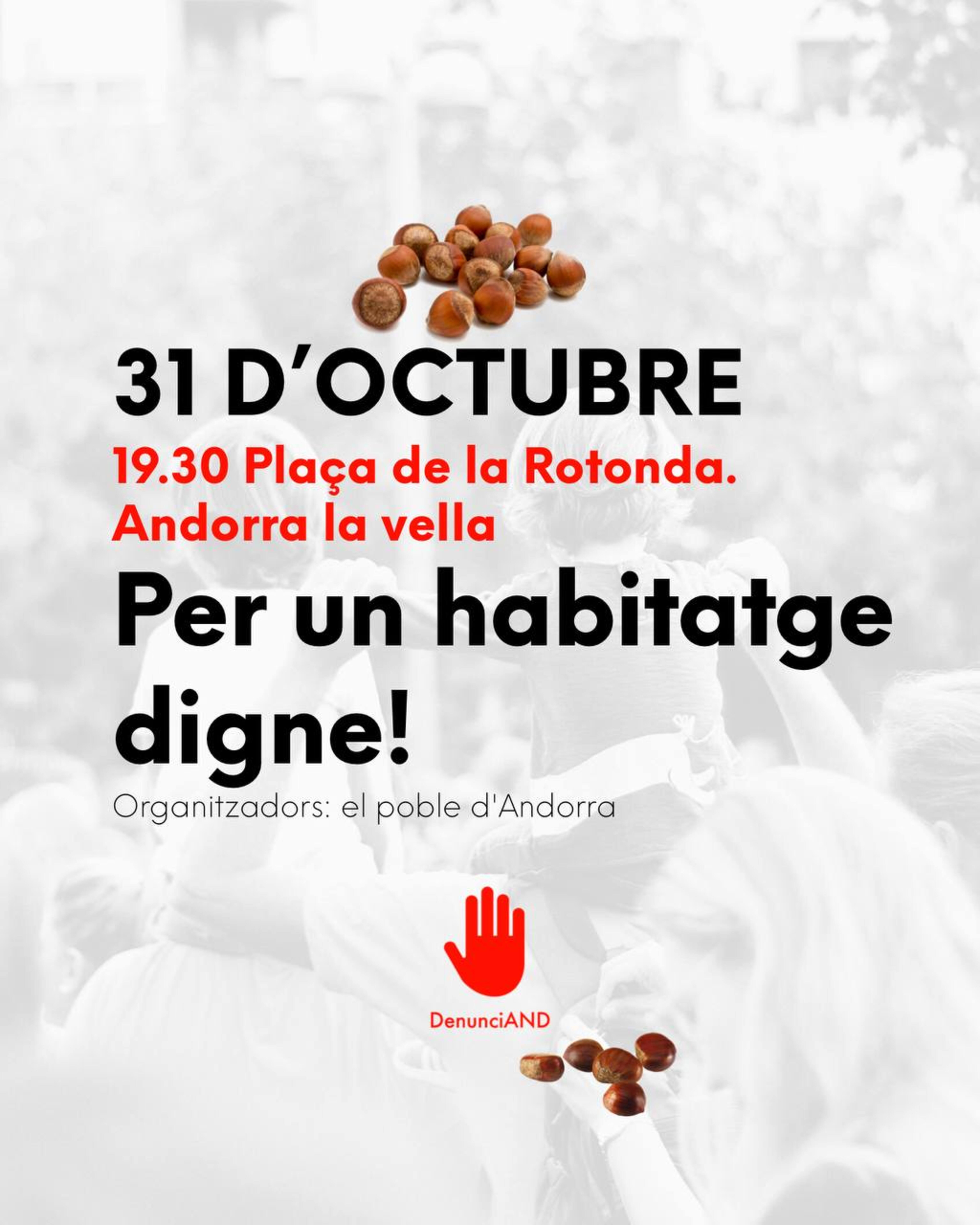 El cartell que s'està difonent per promoure la concentració.