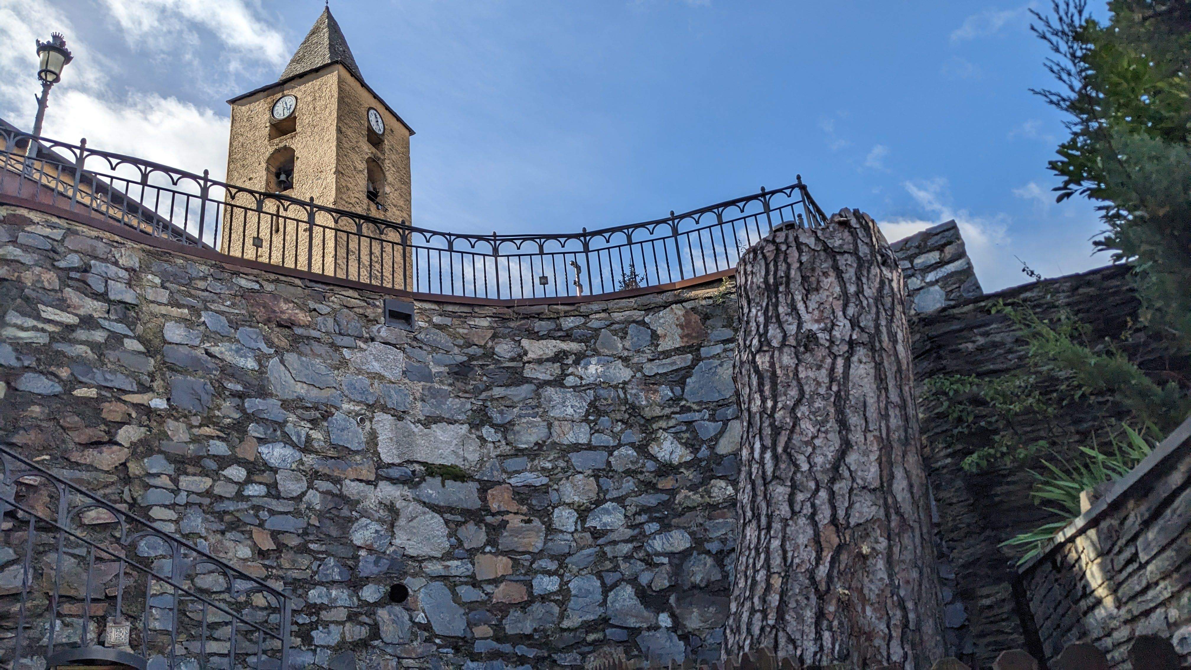 La soca del pi centenari tallat i que es convertirà en una escultura