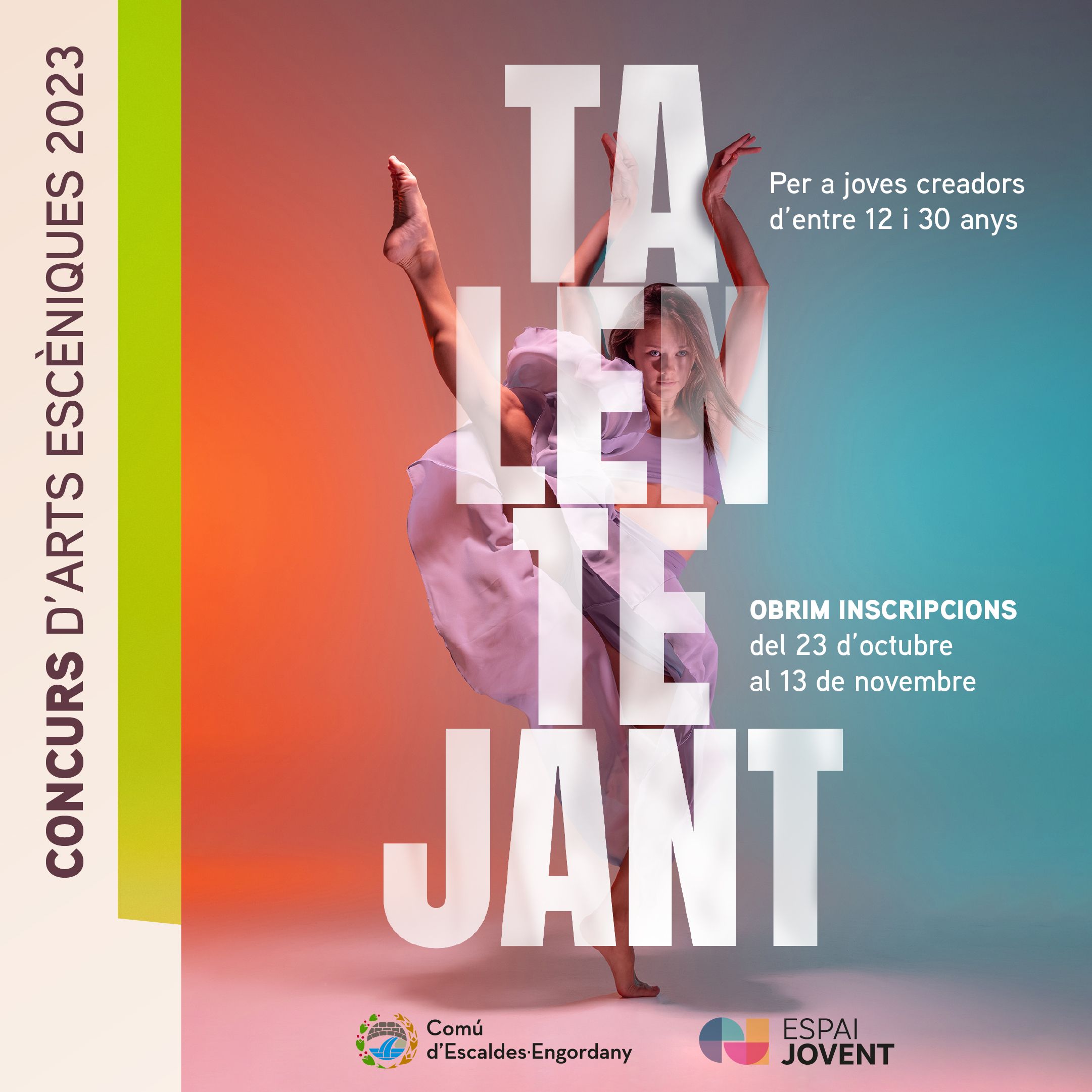 El cartell del certamen.