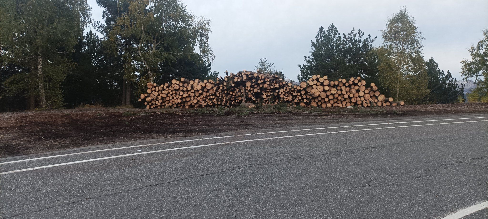 Pins ja talats aquest dimarts.