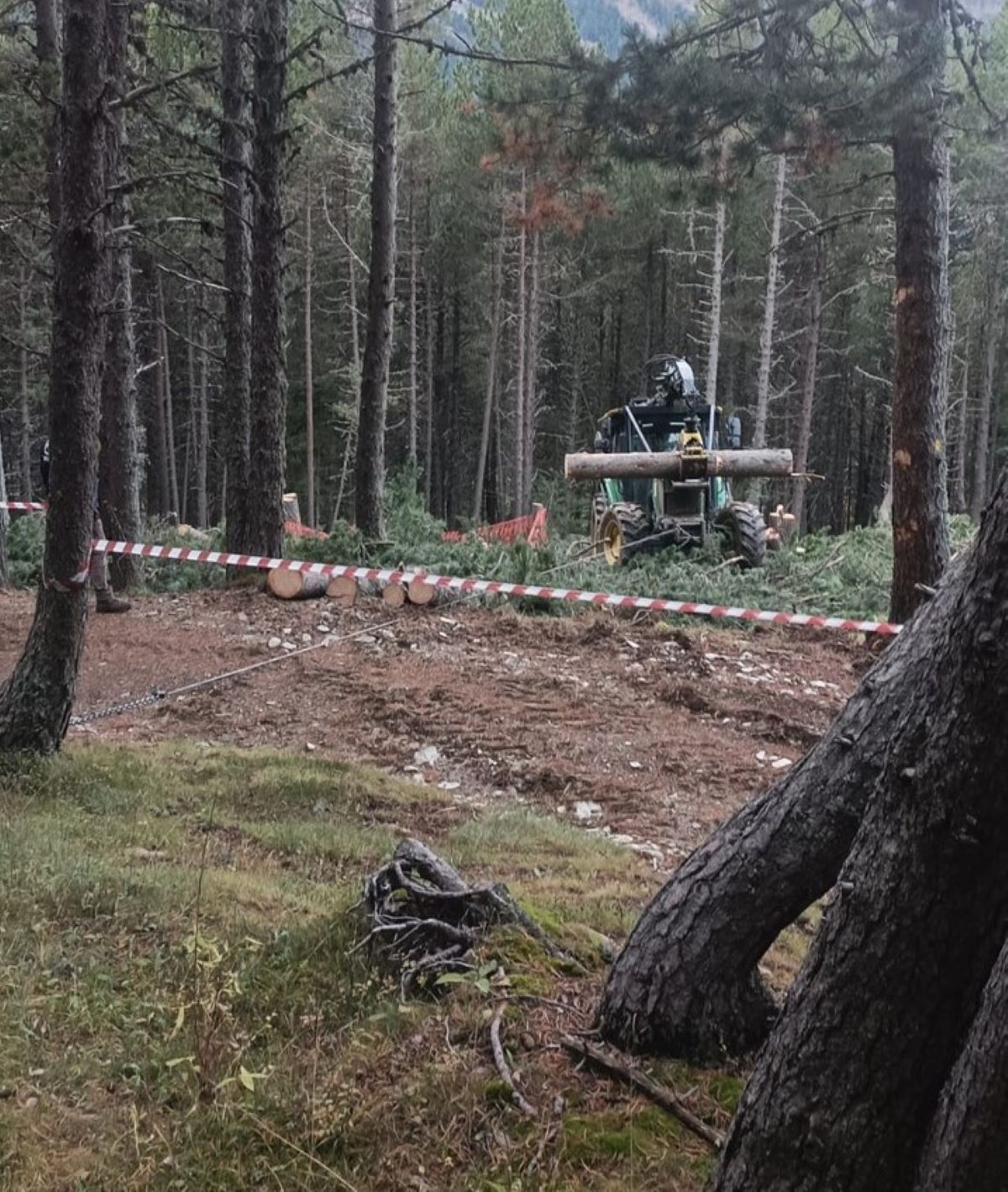 Les màquines treballant. Les màquines treballant.