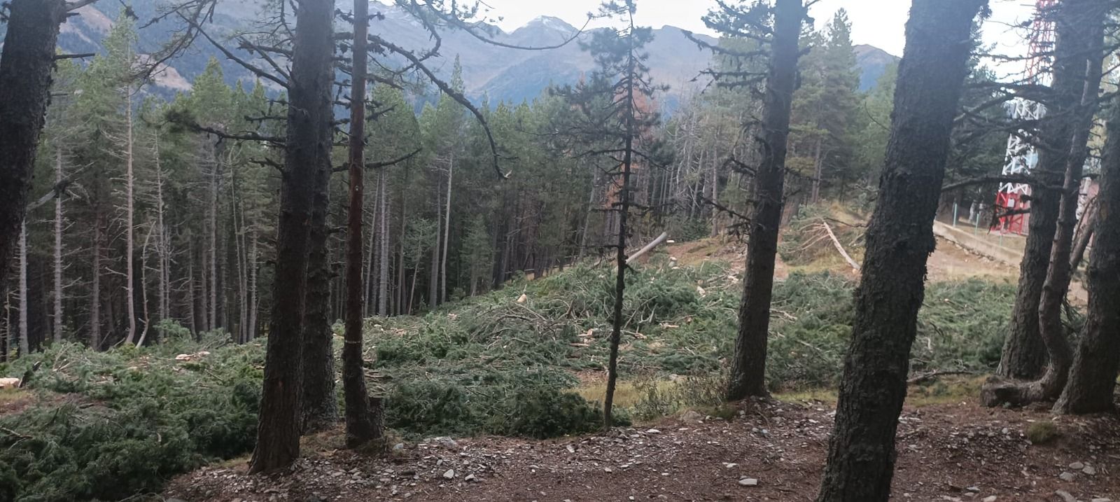 La zona afectada per les actuacions. La zona afectada per les actuacions.