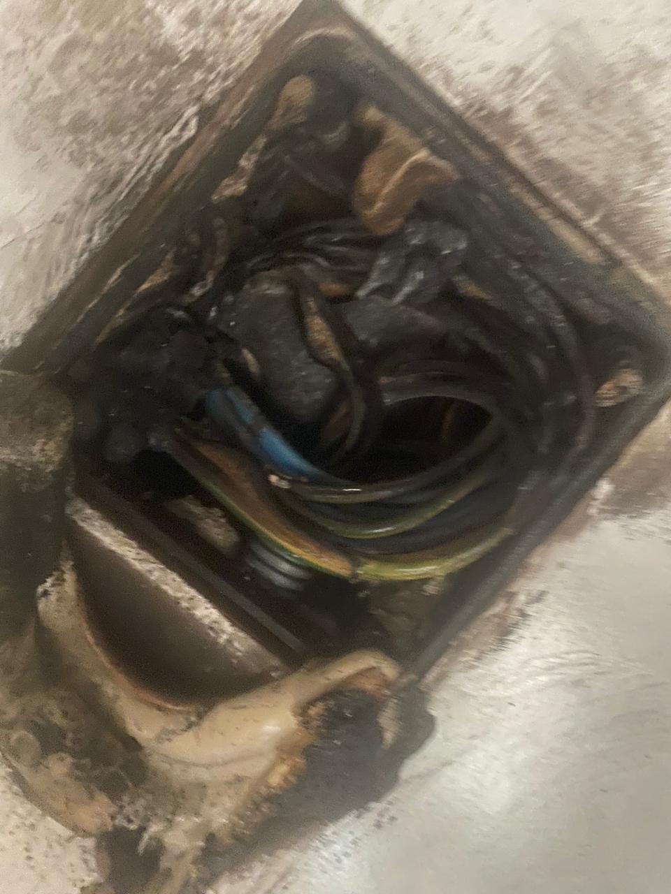 WhatsApp Image 2023 11 03 at 10.46.04