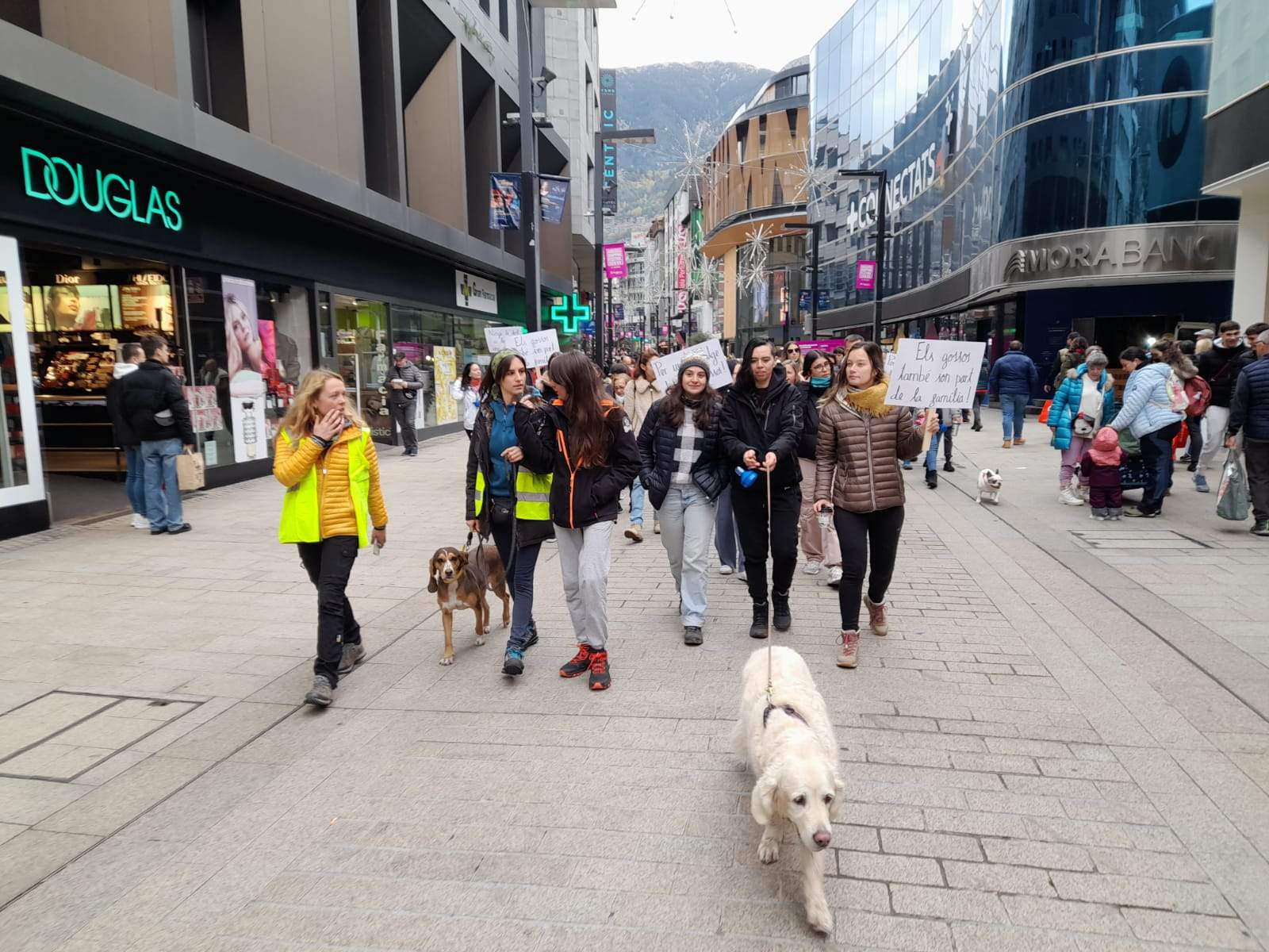 La 'CANinada' a la part baixa de l'avinguda Meritxell.