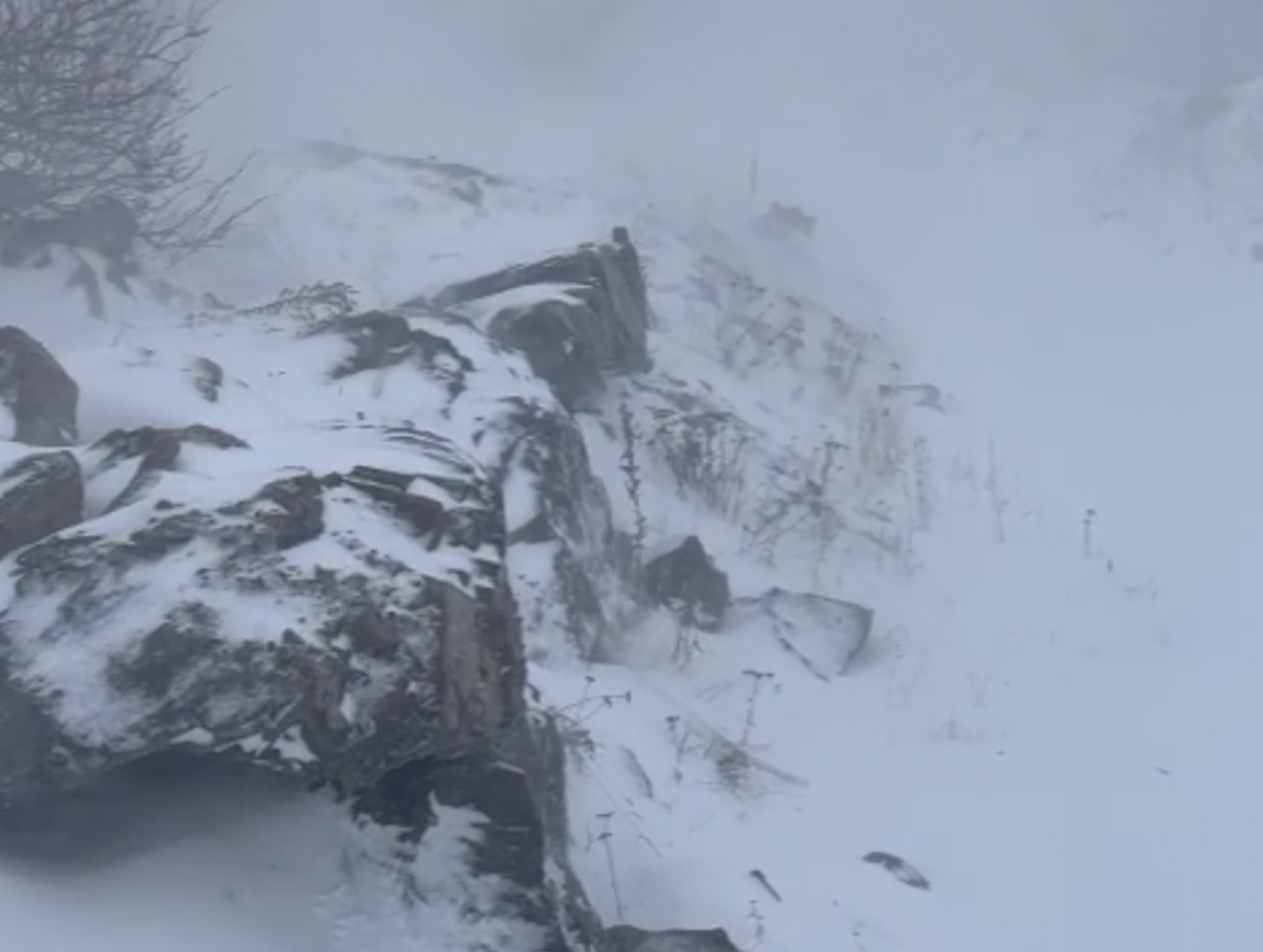 Vent i neu a Arcalís aquesta tarda.