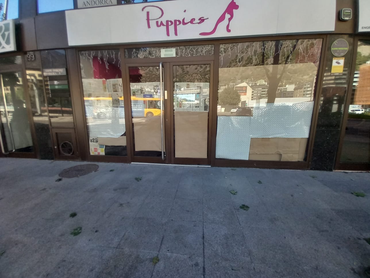 Puppies tenia personal il·legal.