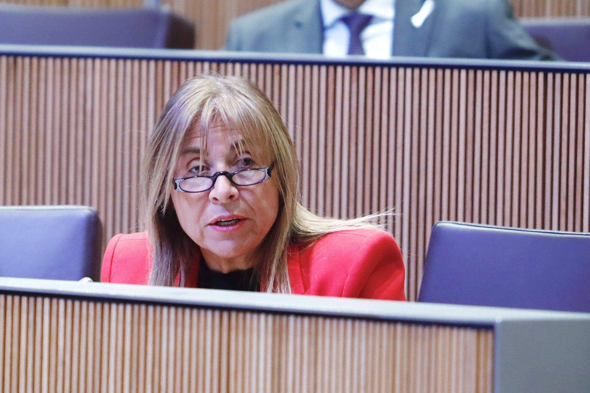 Marsol ha avançat la possiblitat d'ampliar el servei de bus nocturn.