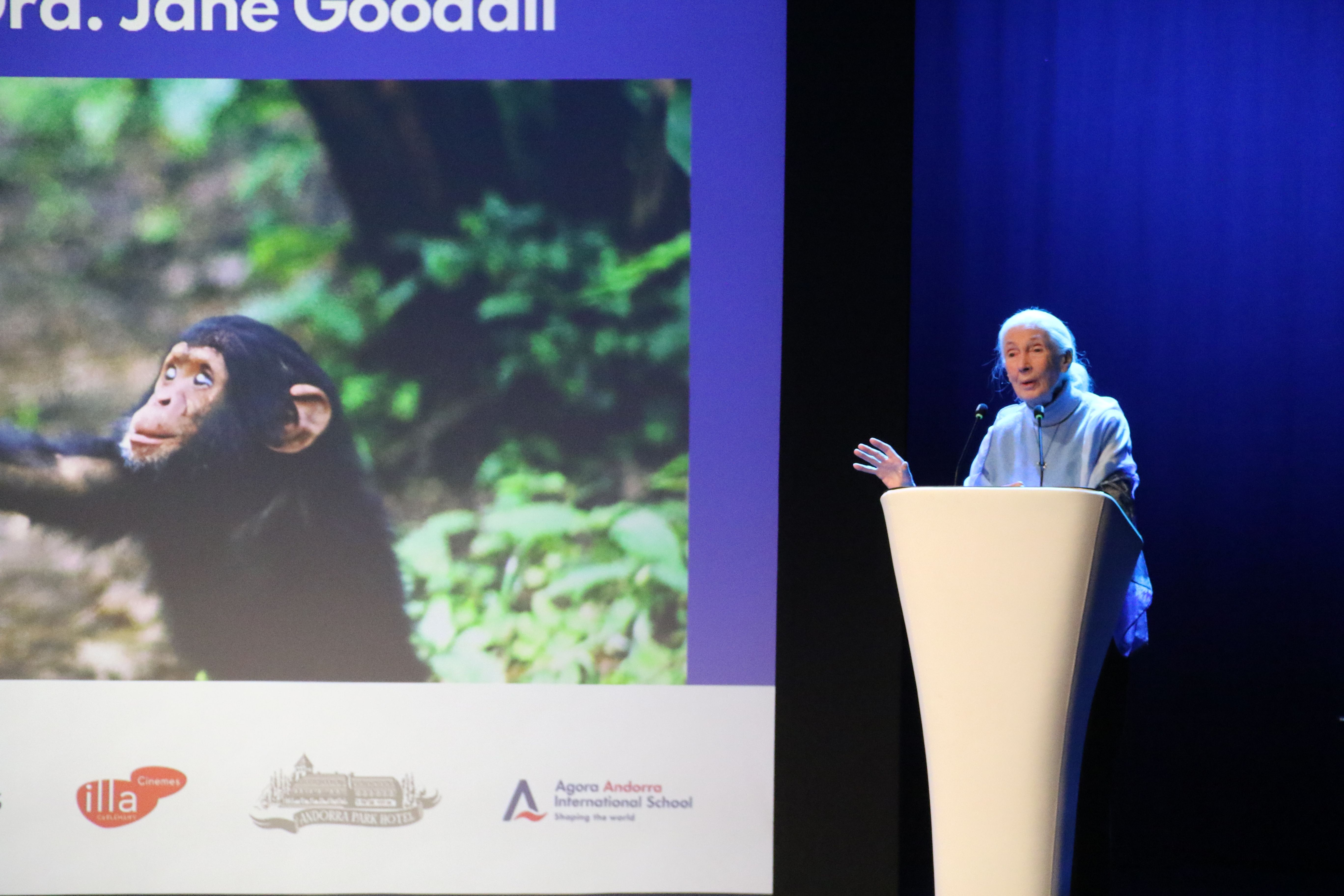 Jane Goodall en un moment de la conferència.
