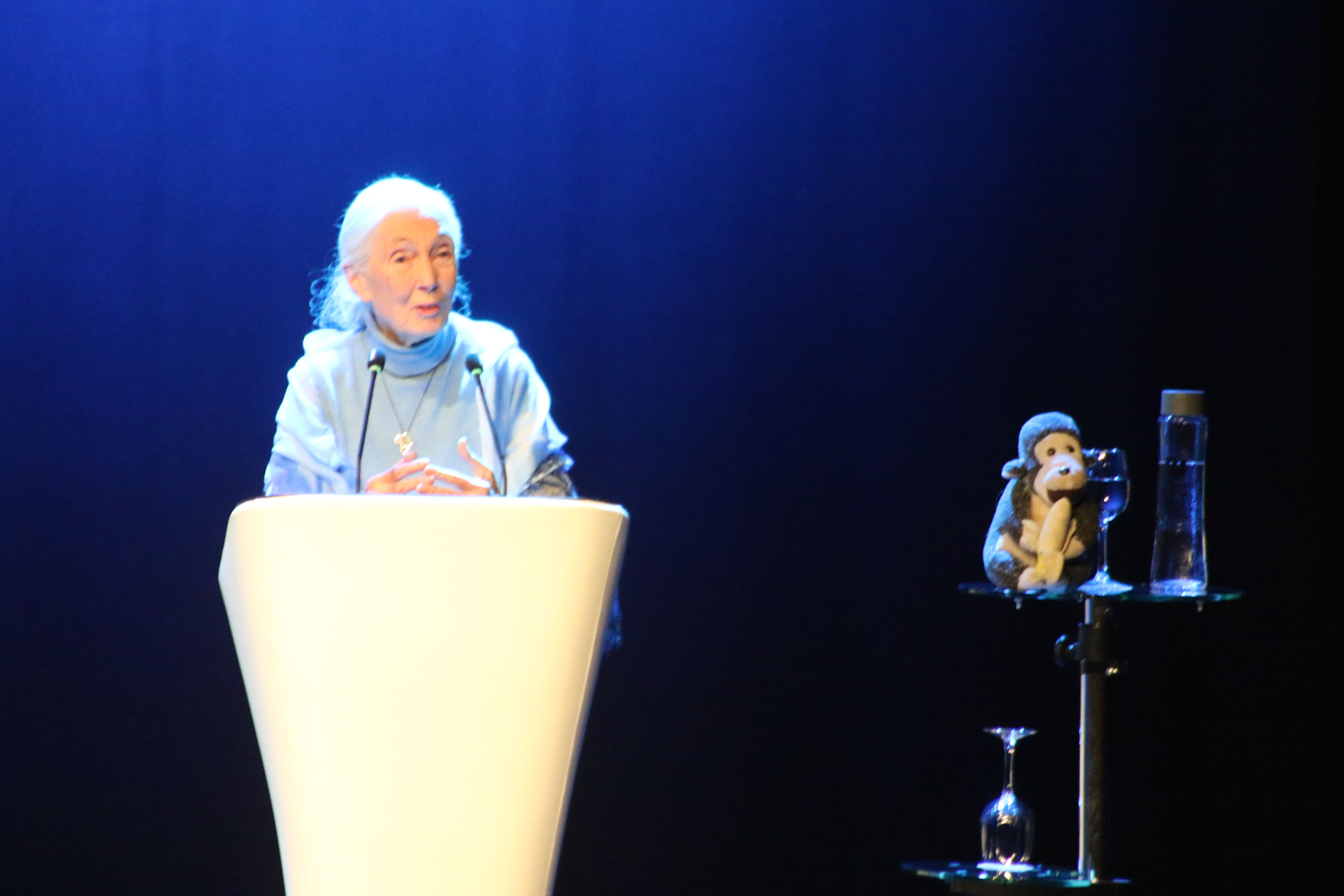 Jane Goodall en un moment de la conferència.