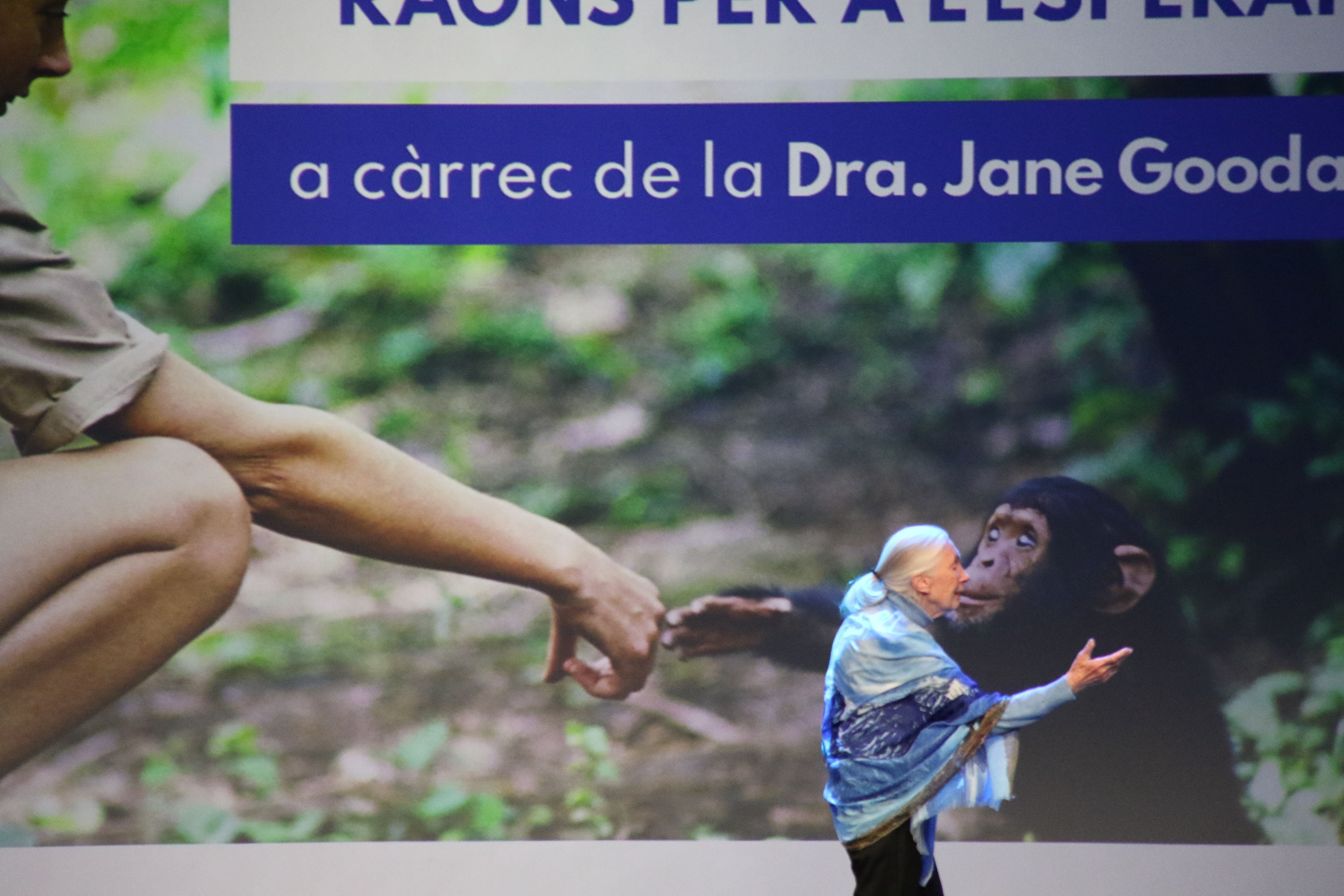 Jane Goodall en aparèixer a l'escenari.