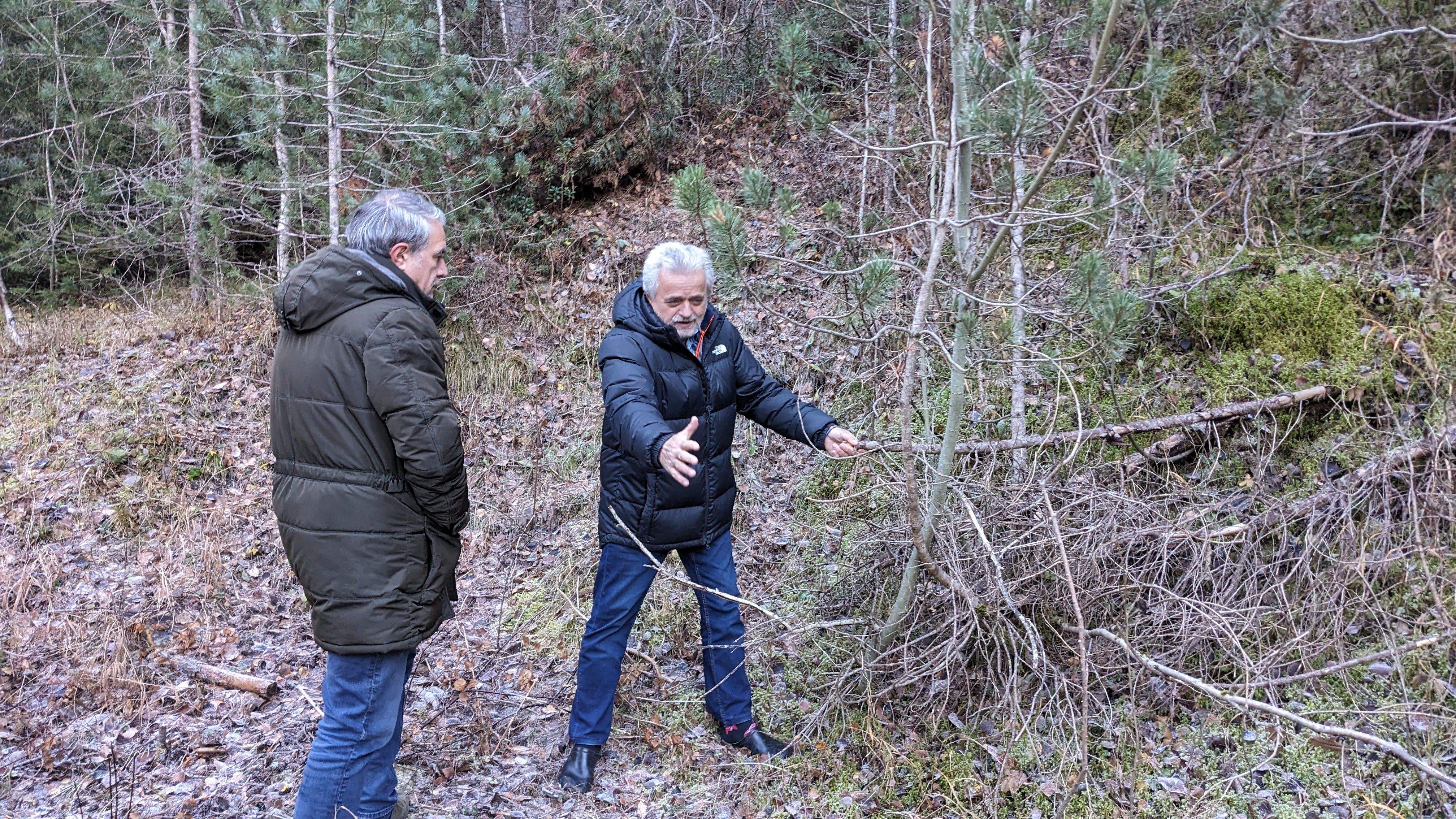 Josep Maria Font al camí del Forat Fosc a Ordino ensenya com està el bosc