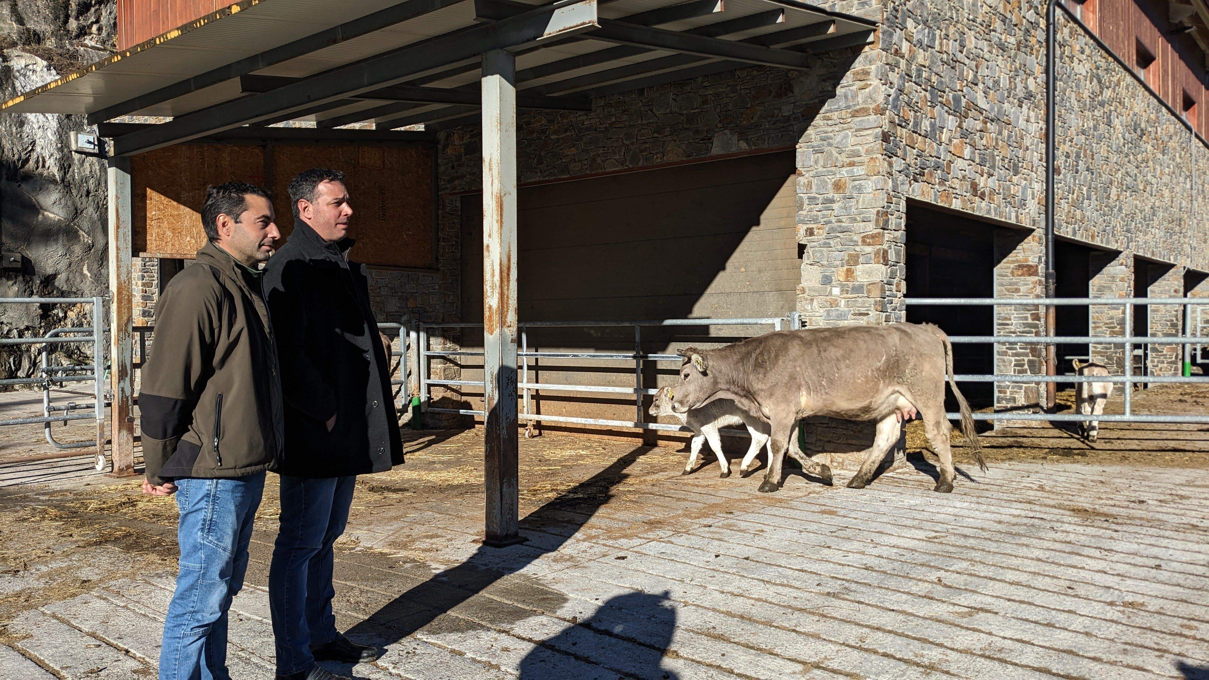 Àlex Gaspà i Eduard Betriu en una explotació ramadera a la Cortinada