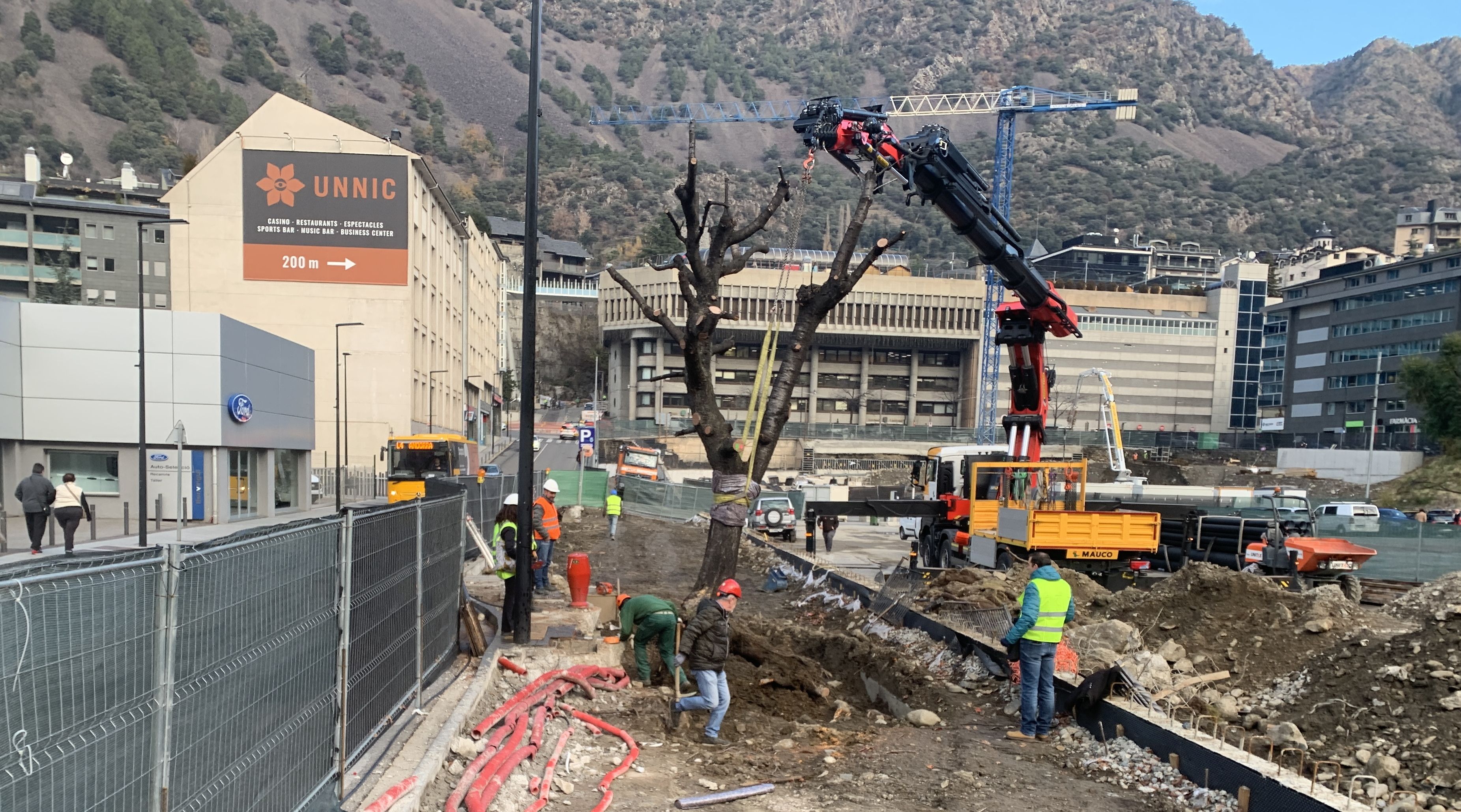 Retirada de l'arbre al carrer Doctor Vilanova. Retirada de l'arbre al carrer Doctor Vilanova.
