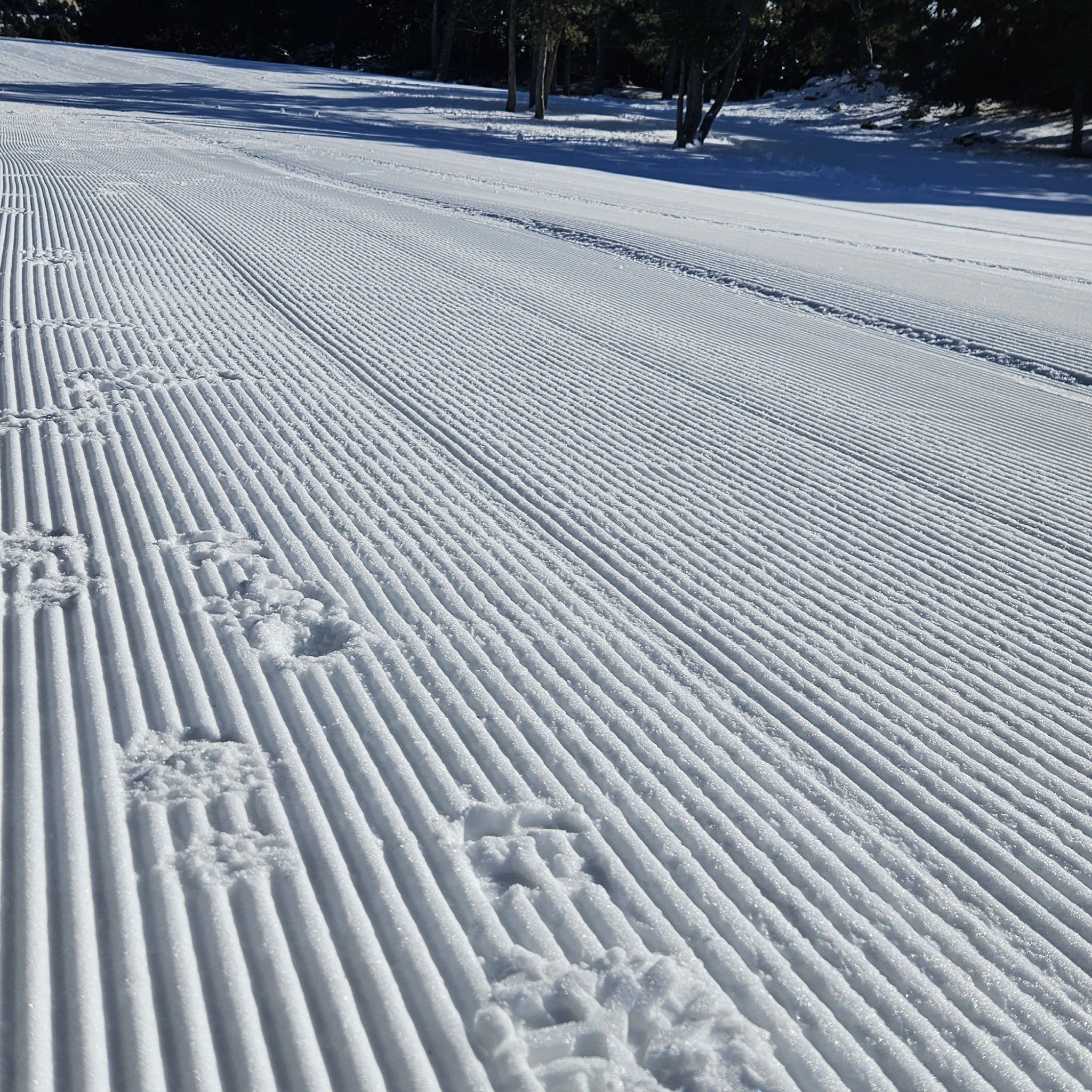 Naturland obre aquest dissabte la pista d'esquí de fons de Conangle.
