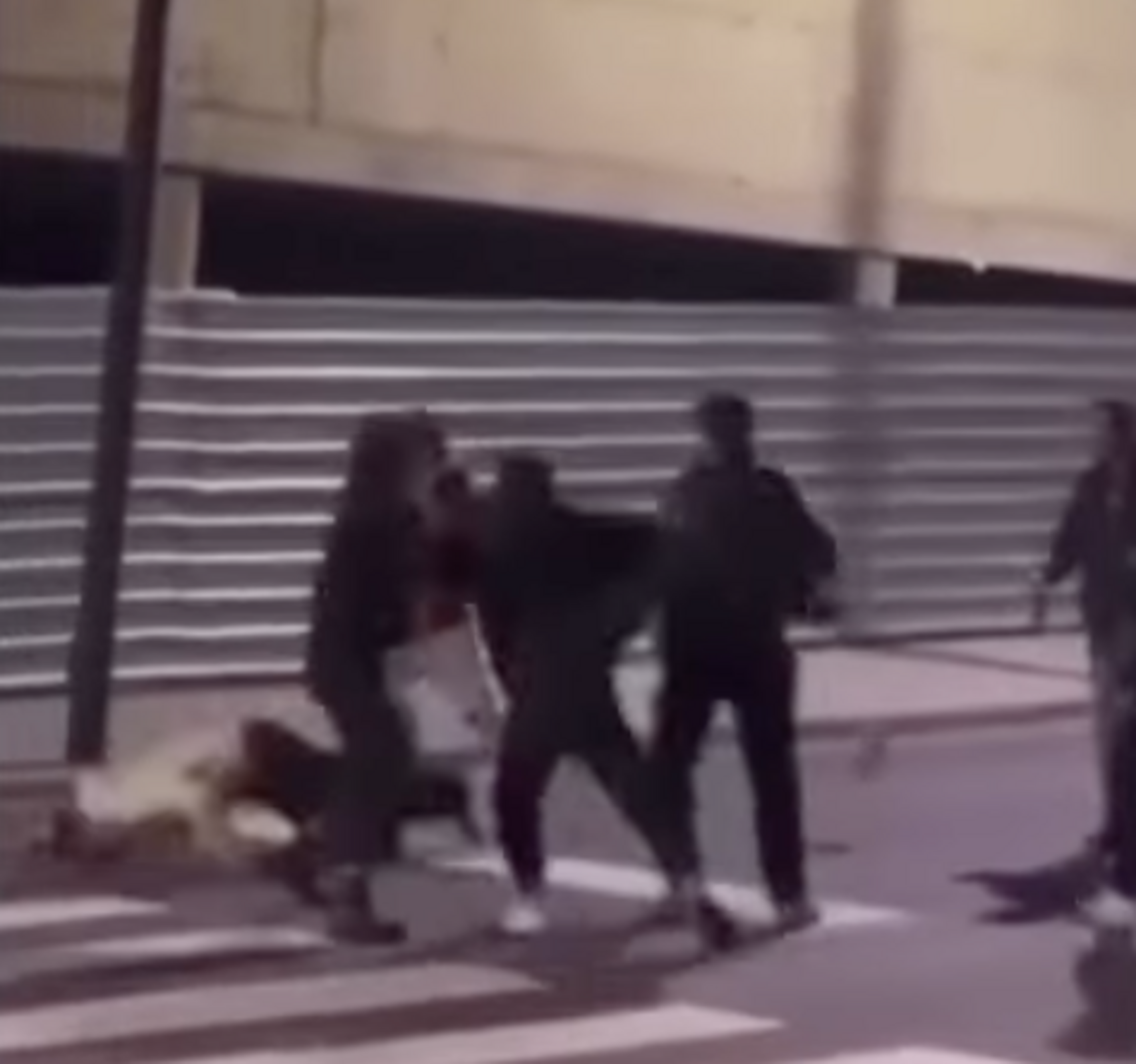 Un 'frame' del vídeo.