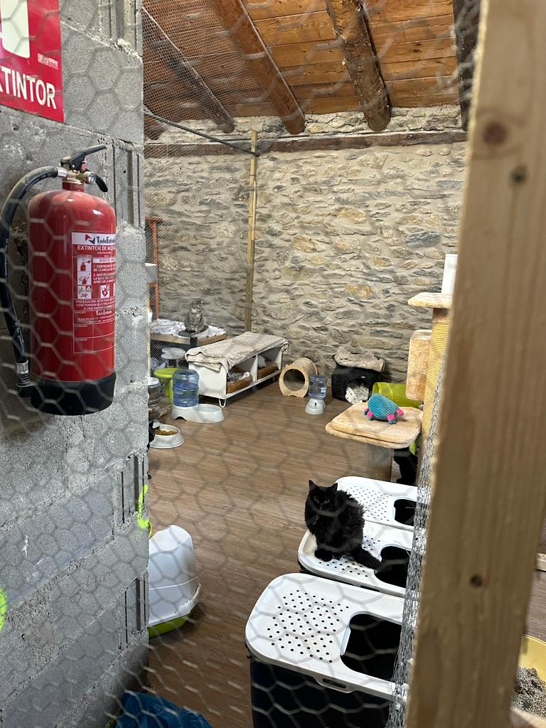 WhatsApp Image 2024 01 03 at 16.07.48 (1) WhatsApp Image 2024 01 03 at 16.07.48 (1)