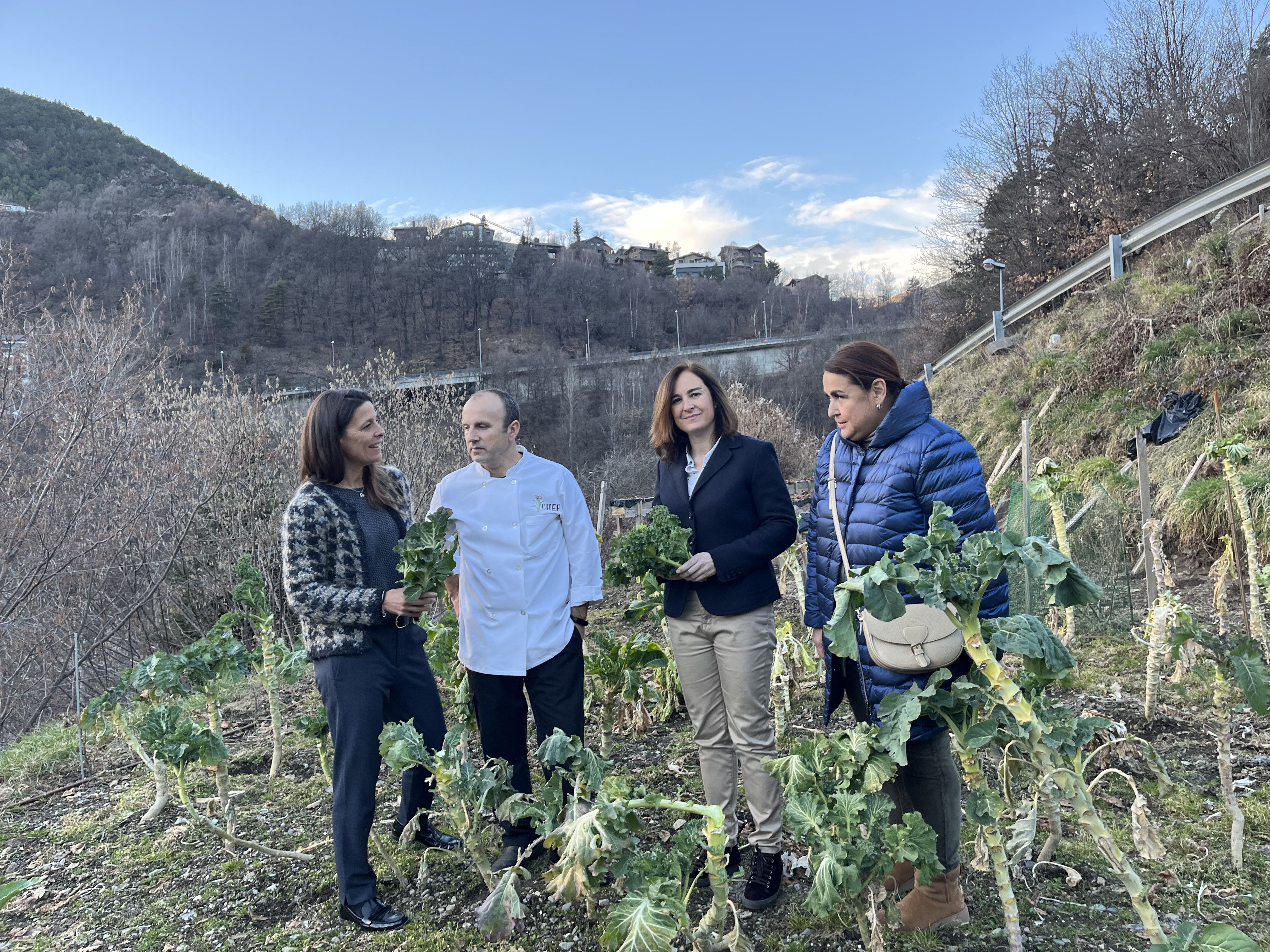Les jornades de la Massana Fogons s'han presentat aquest dimecres.