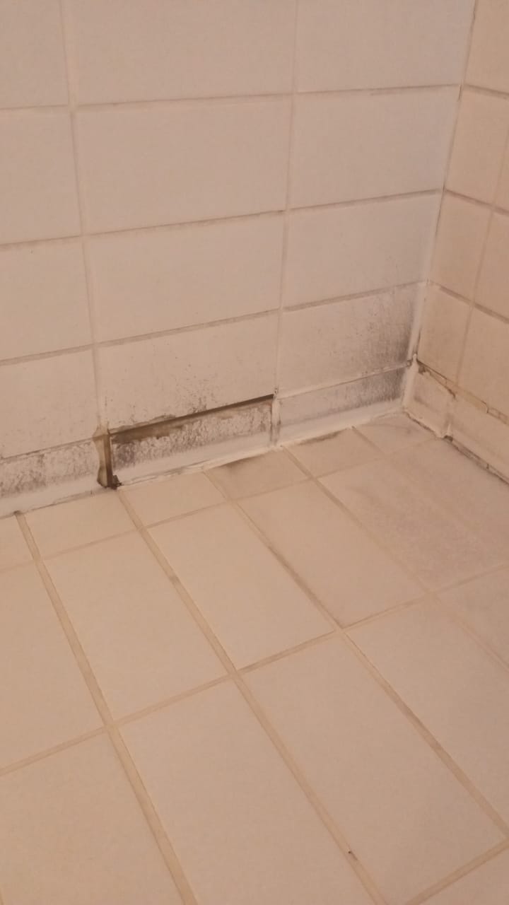 Taques d'humitats en una dutxa. Taques d'humitats en una dutxa.