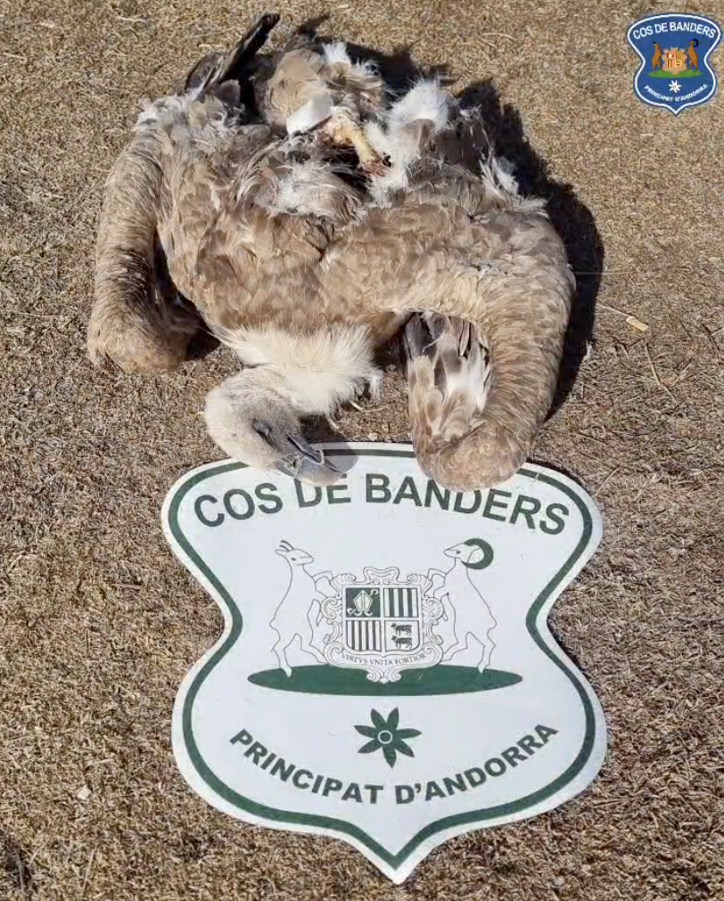 Captura de pantalla 2024 02 06 a las 9.43.35 Captura de pantalla 2024 02 06 a las 9.43.35