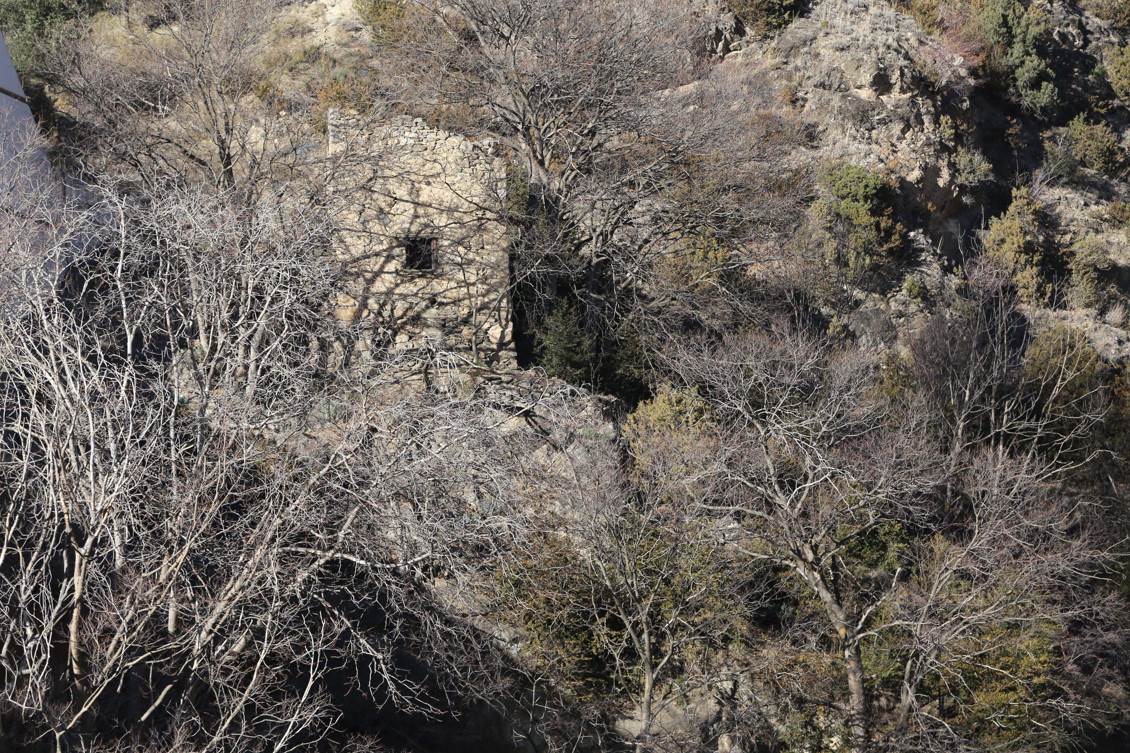 L'antic colomer de Rocafort L'antic colomer de Rocafort